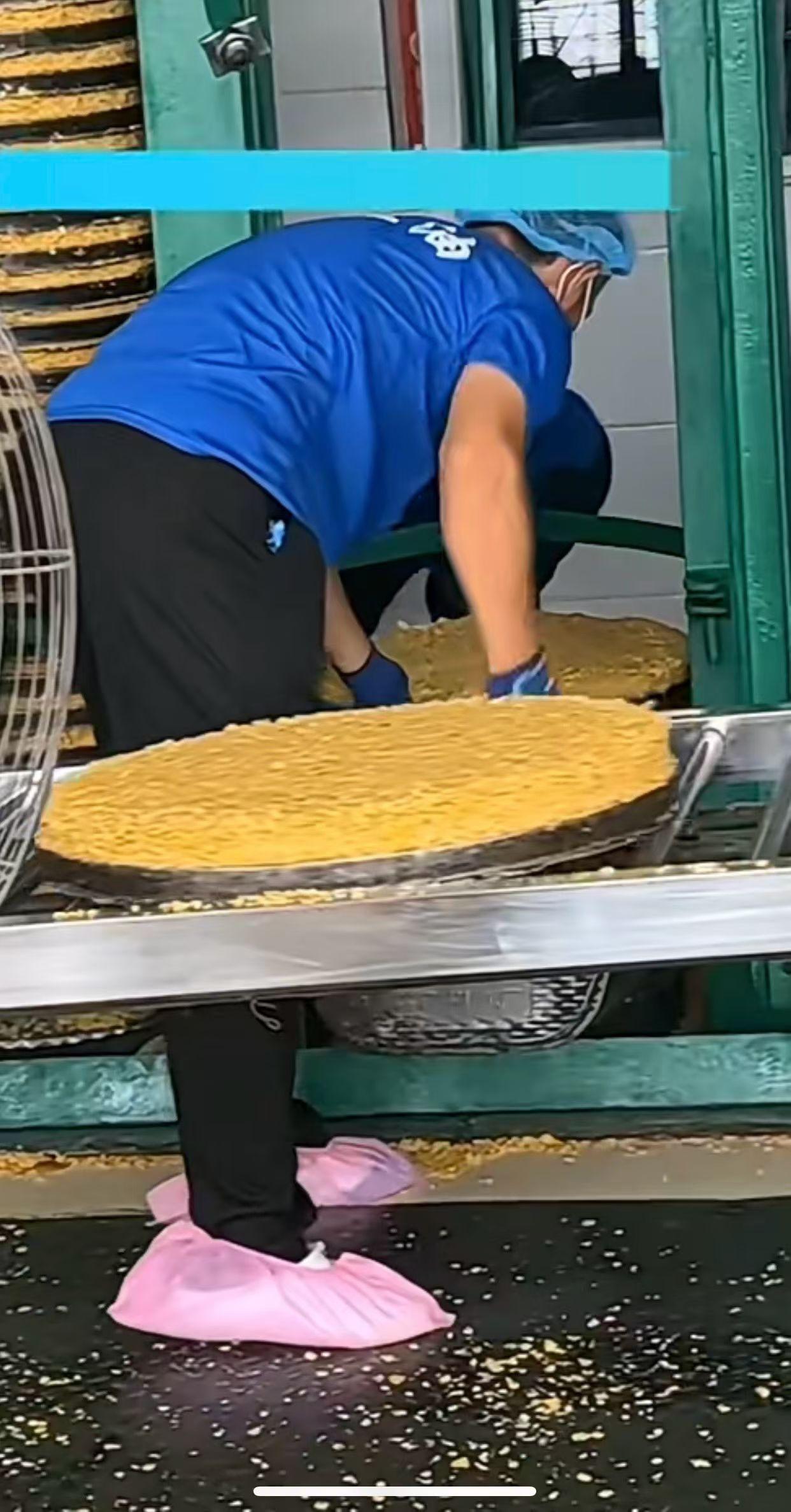 揭秘美食背后的秘密，带你走进生产车间！🍞👷‍♀️