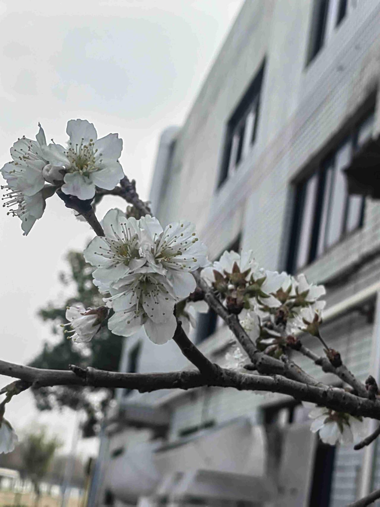 我的今日状态：💪🏻充满干劲
我这里的天气：☀️晴天