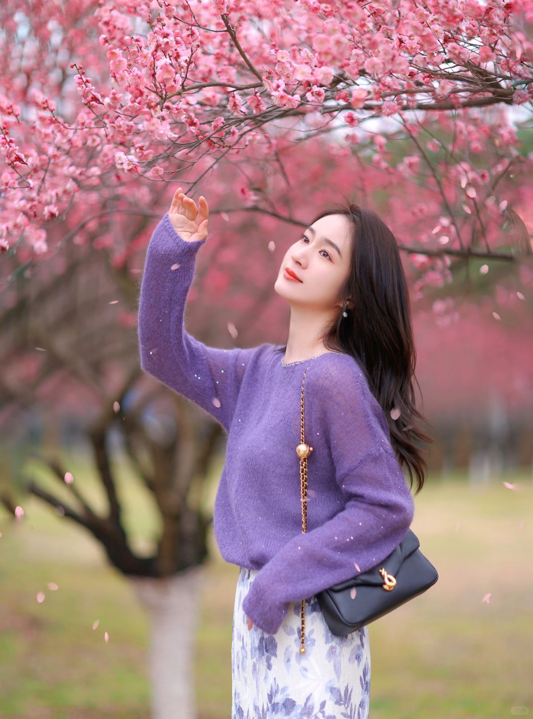 春日赏花拍照｜赴场梅花约🌸