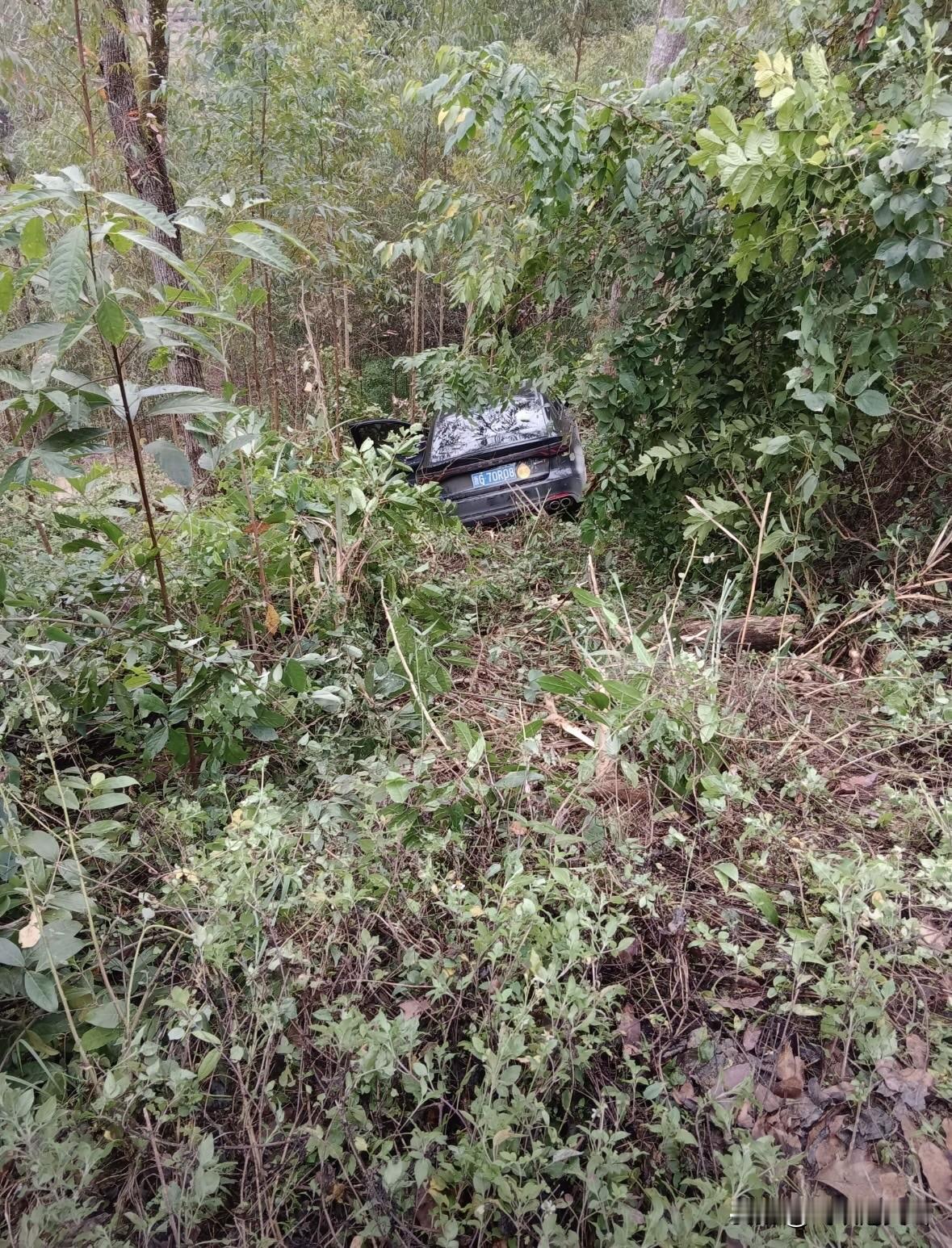 这怎么开下去的[尬笑]