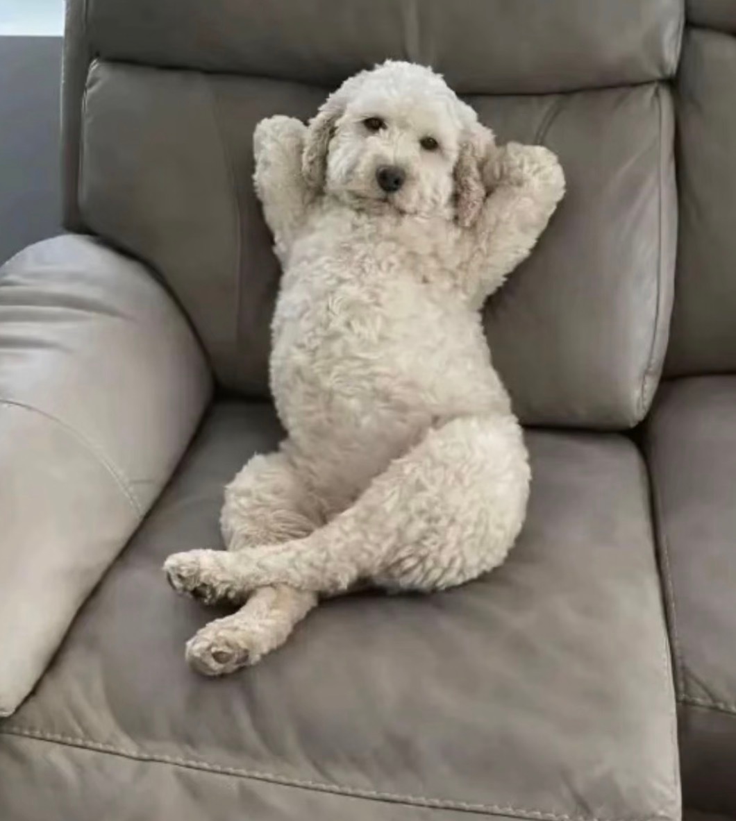 狠狠social了几个小时好爽感觉疲惫一扫空。认识了很多有意思的新朋友，和法国?