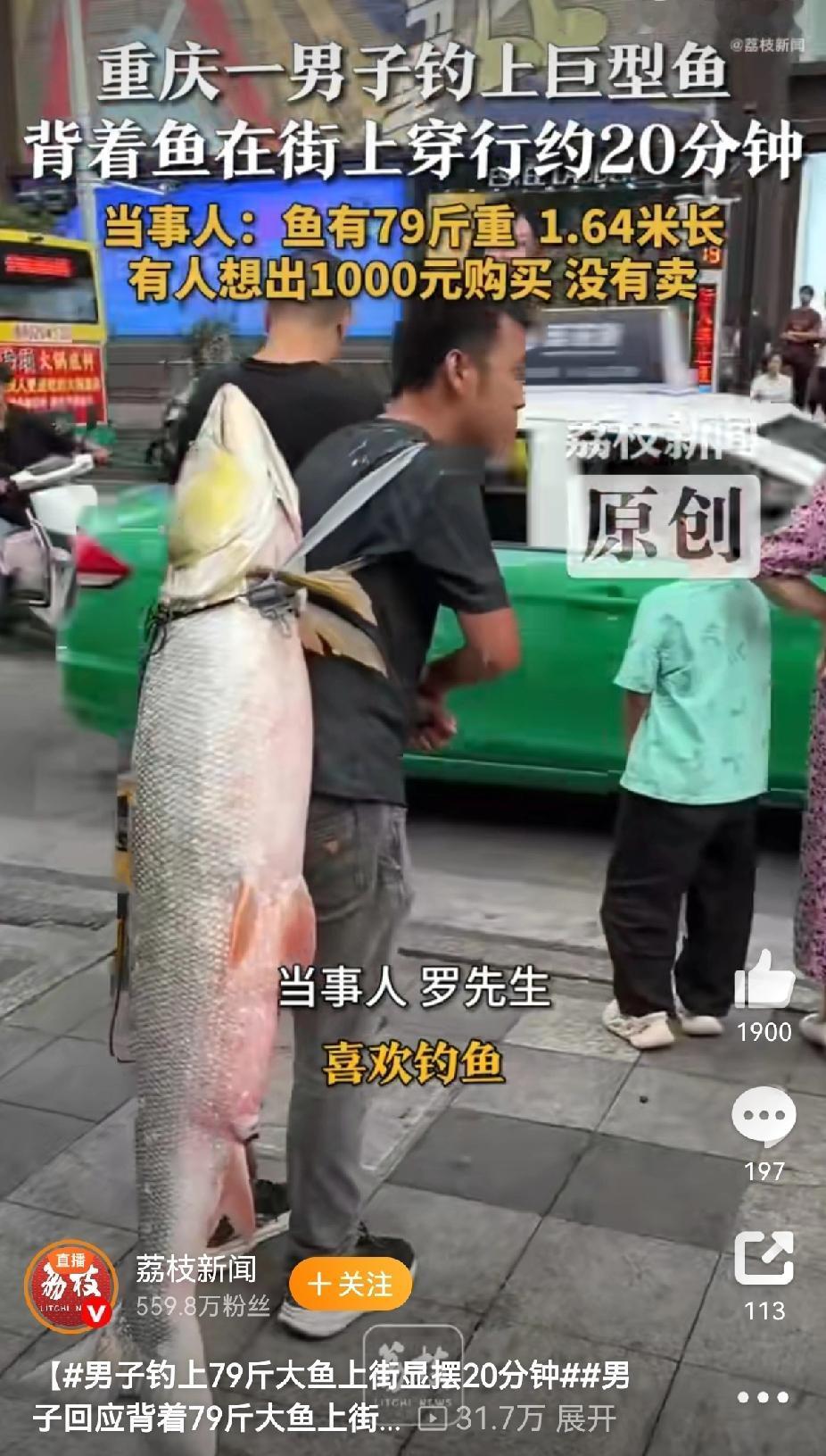 近日，一段“男子肩扛79斤大鱼沿街展示”的视频在社交平台走红，短短20分钟的“显