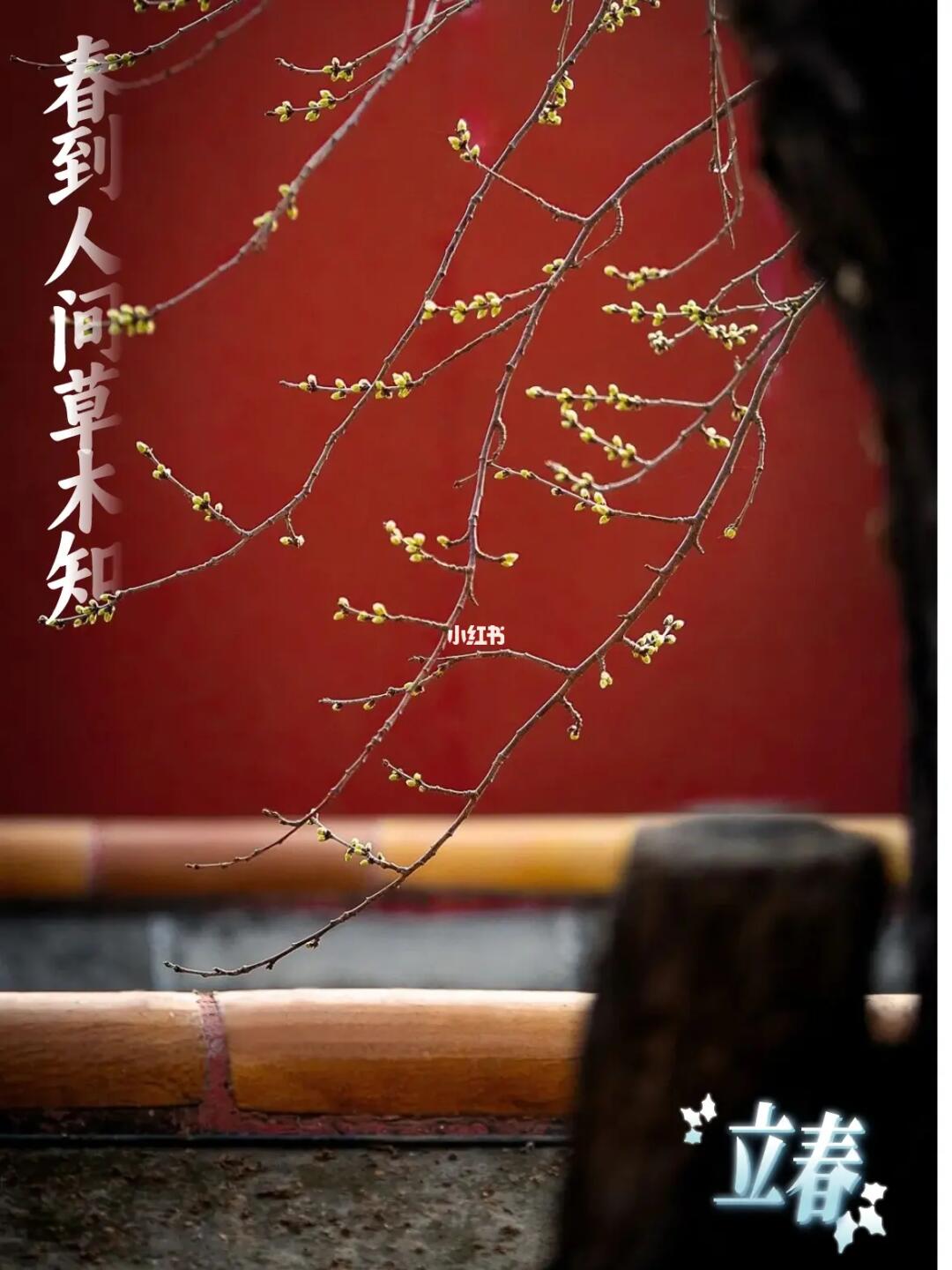 故宫二十四节气图鉴