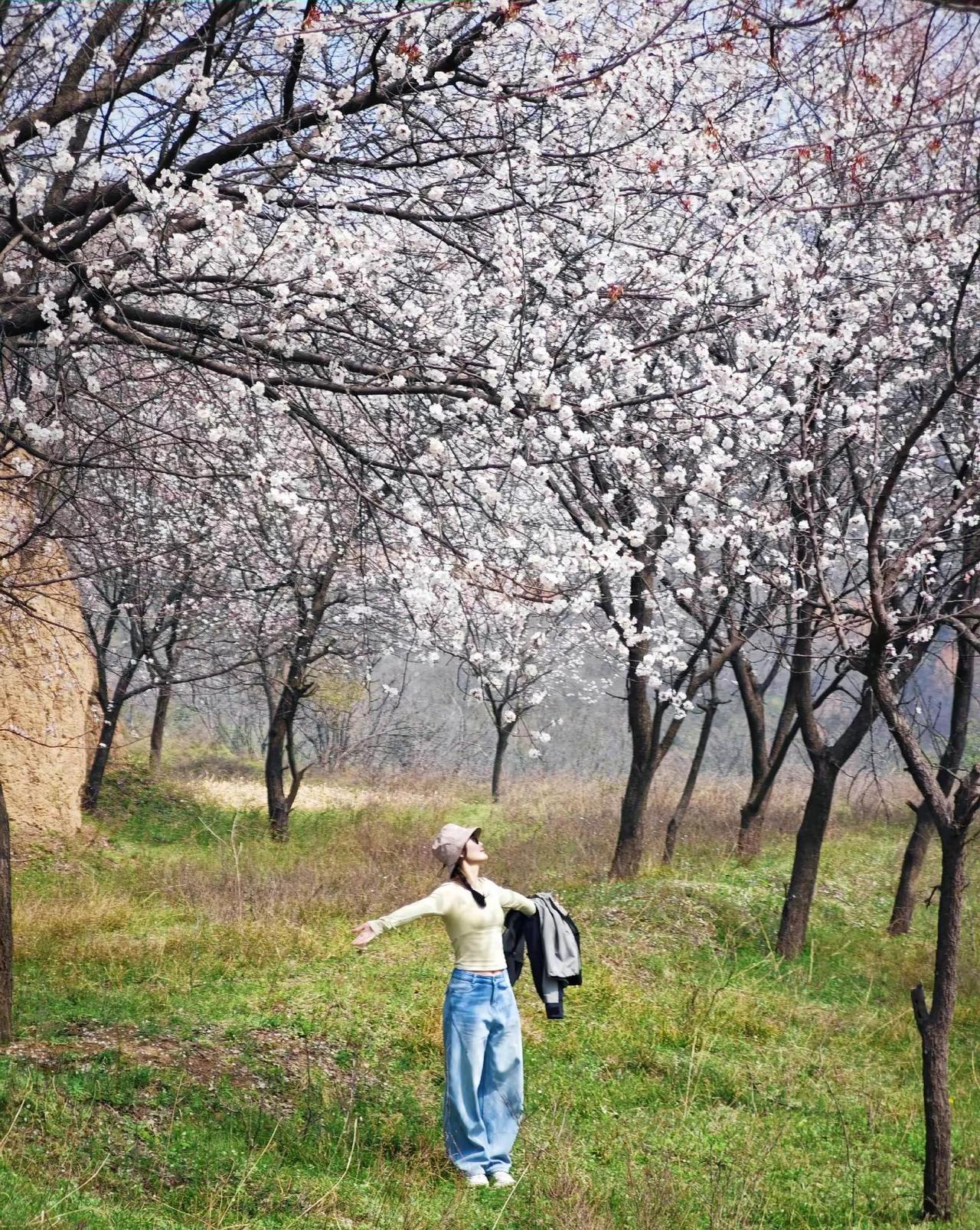 我别无所求，只想背阳光晒透