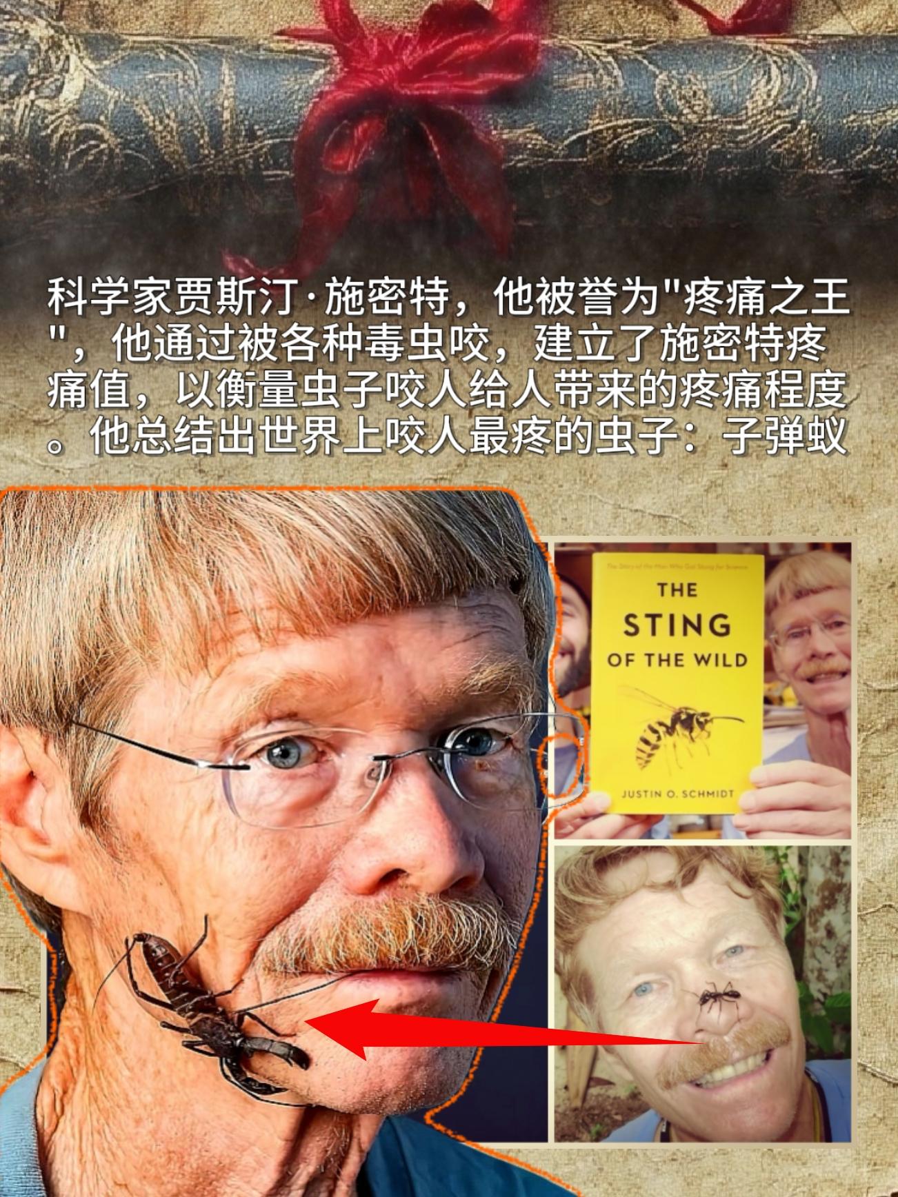 科学家贾斯汀·施密特，他被誉为"疼痛之王"