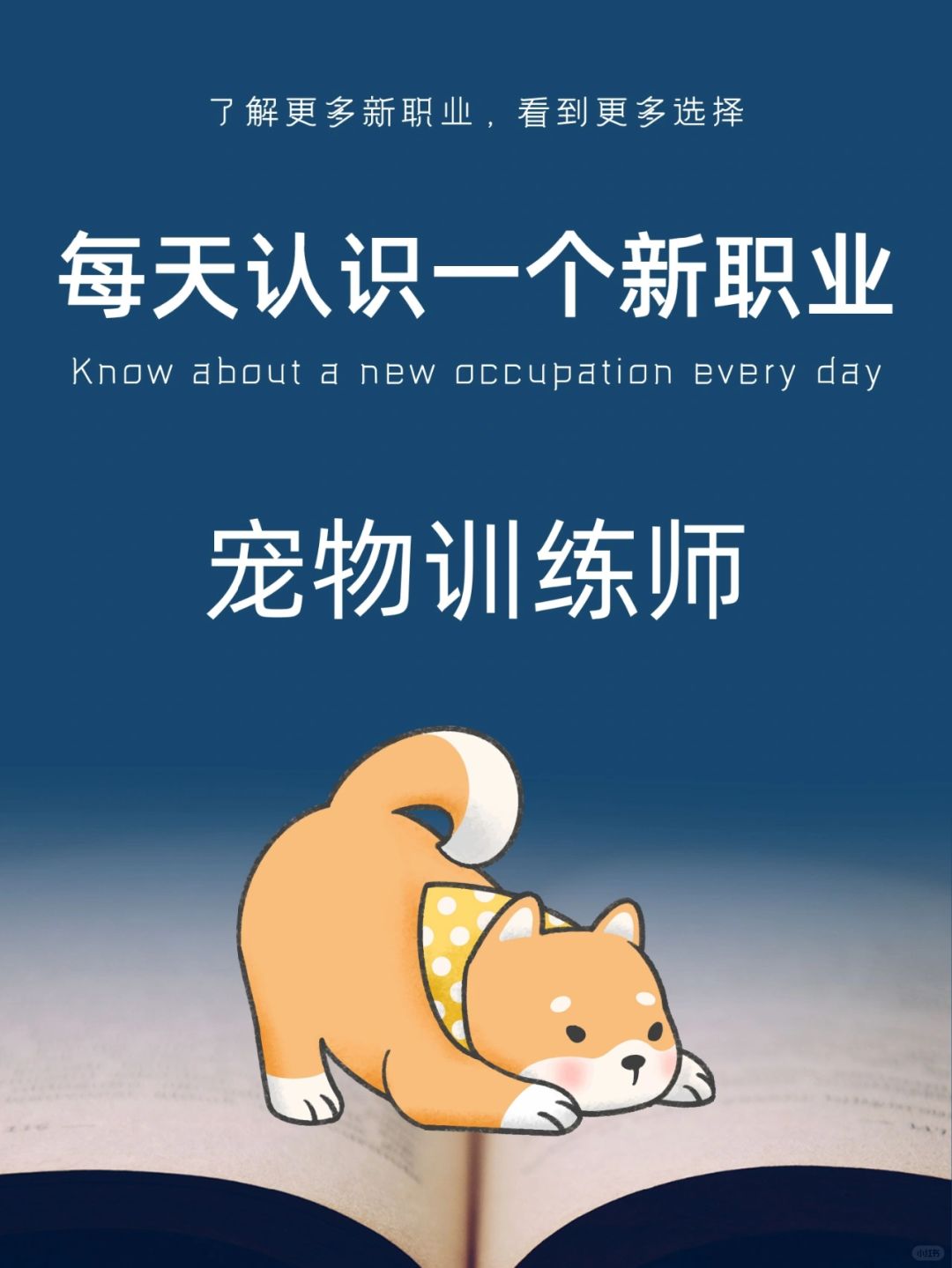 每天认识一个新职业｜宠物训练师