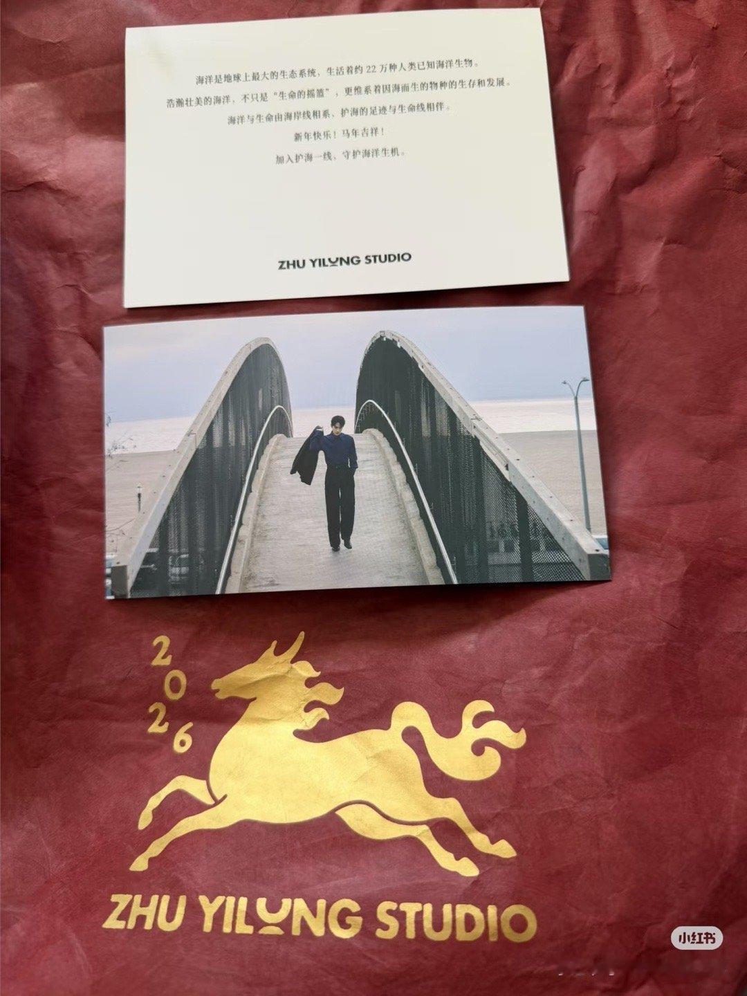 朱一龙新年礼盒开箱 还有合影掉落（金鸡影帝！） 