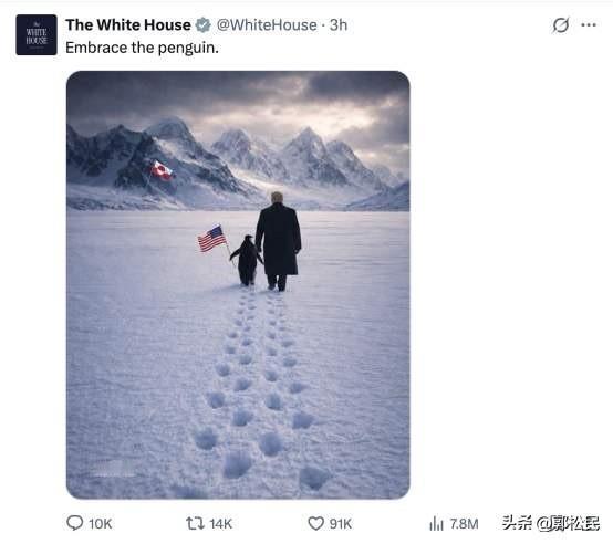 提个问题：北极熊为什么不吃企鹅？