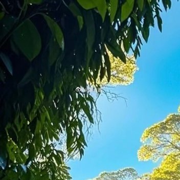 保持一颗善良的心，就是人生幸福的源泉，就是一席永恒的筵席，就是被人尊重的资本。 