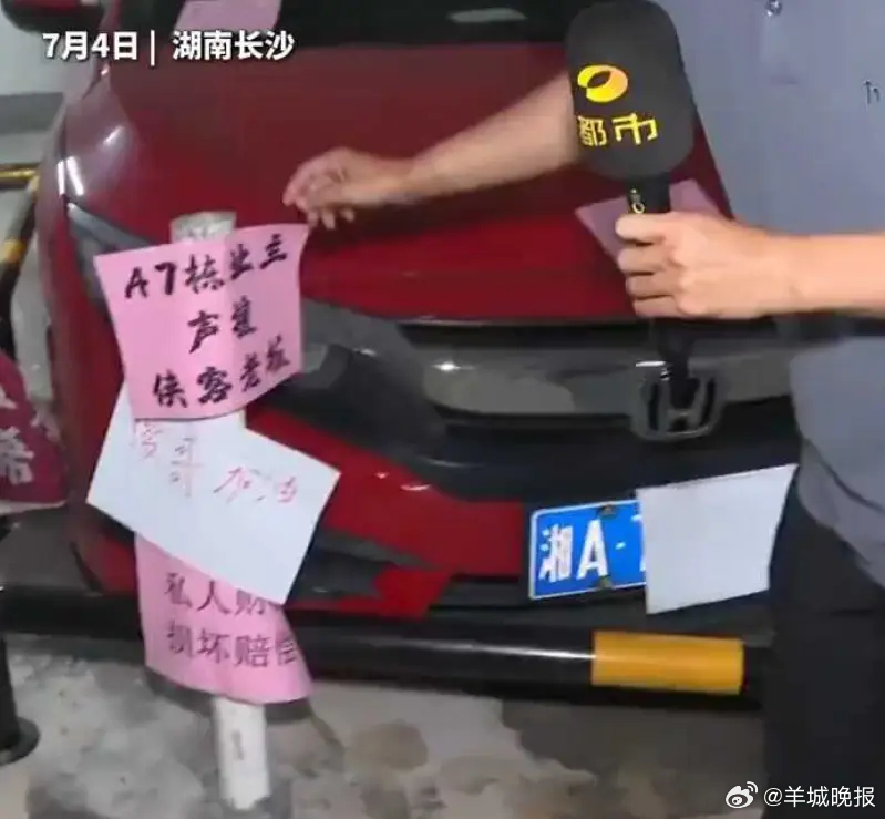 【#占用他人私家车位的女子真的很可怜#】#羊晚快评#只要太阳照常升起，每天就会有