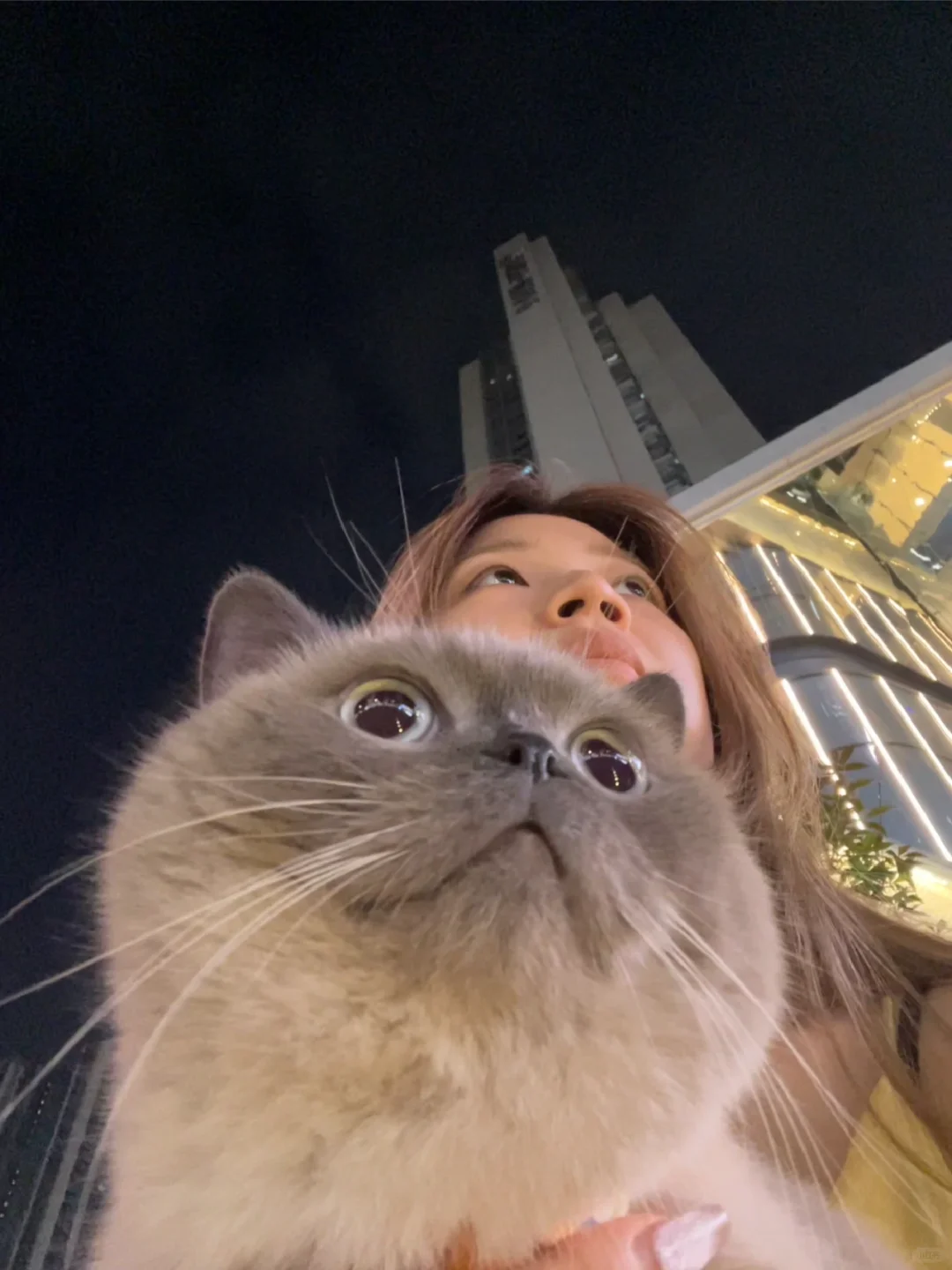 不愧是我亲生的