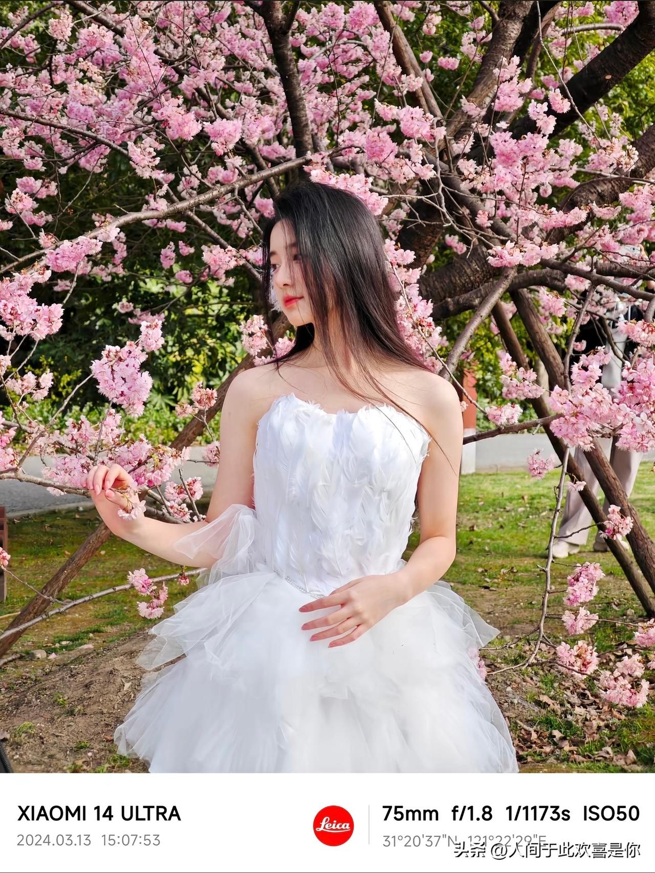 我的小米14U依旧能打