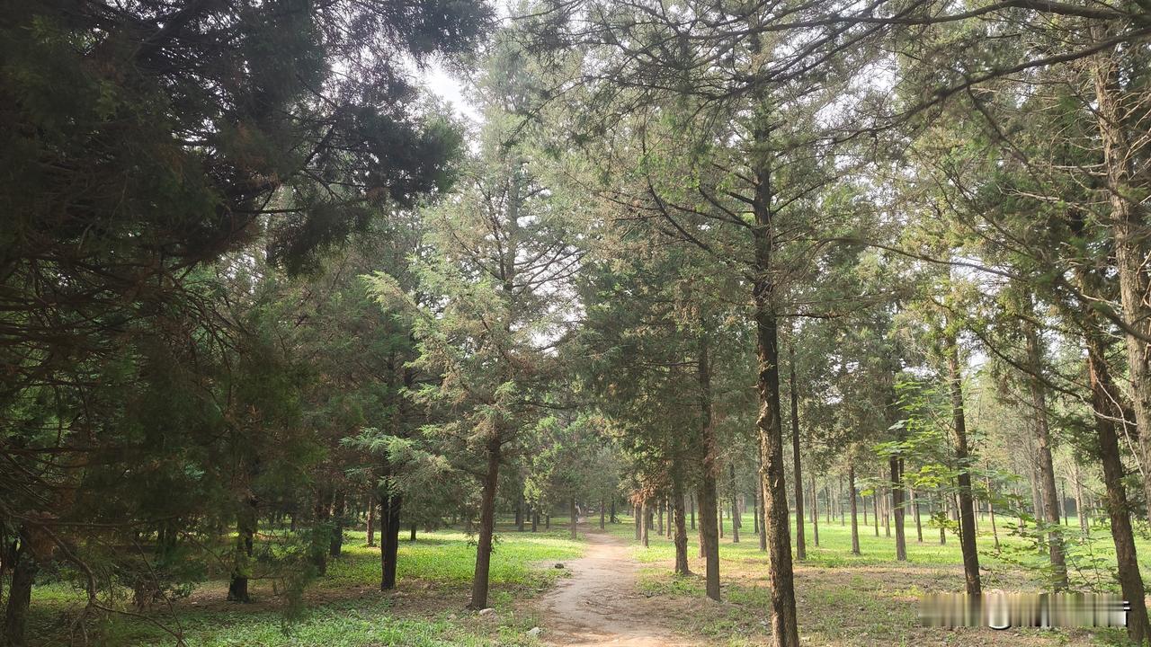 在职场熬到一定岁数就会发现，所有单位本质上都是同一个江湖。
没有绝对的公平，只有