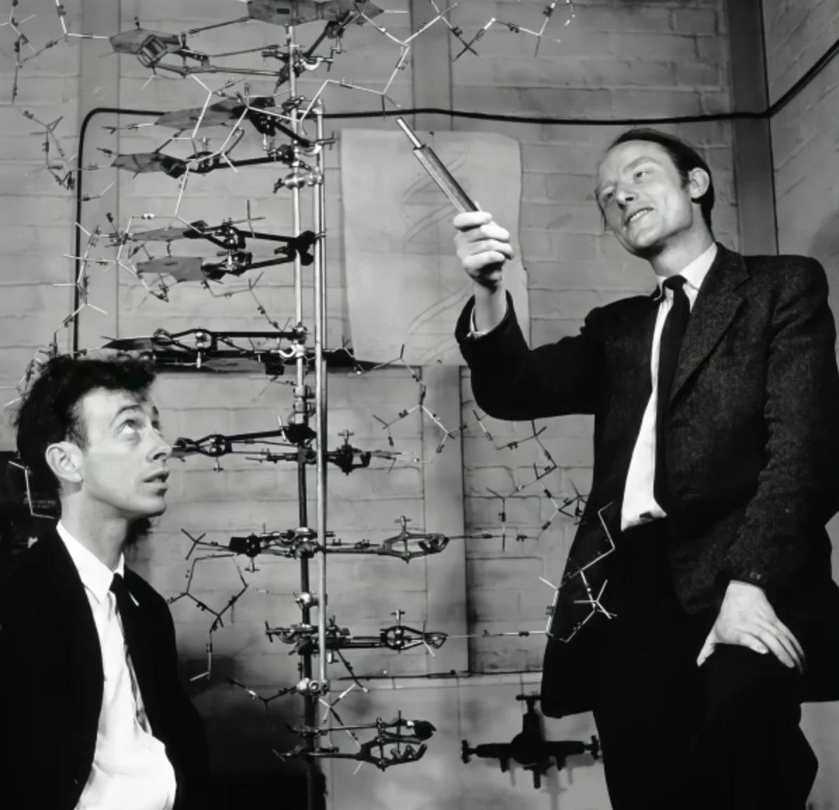 缅怀沃森先生
今年高中课本中的名人一个一个走了，DNA的祖师爷沃森也离世了，伟大