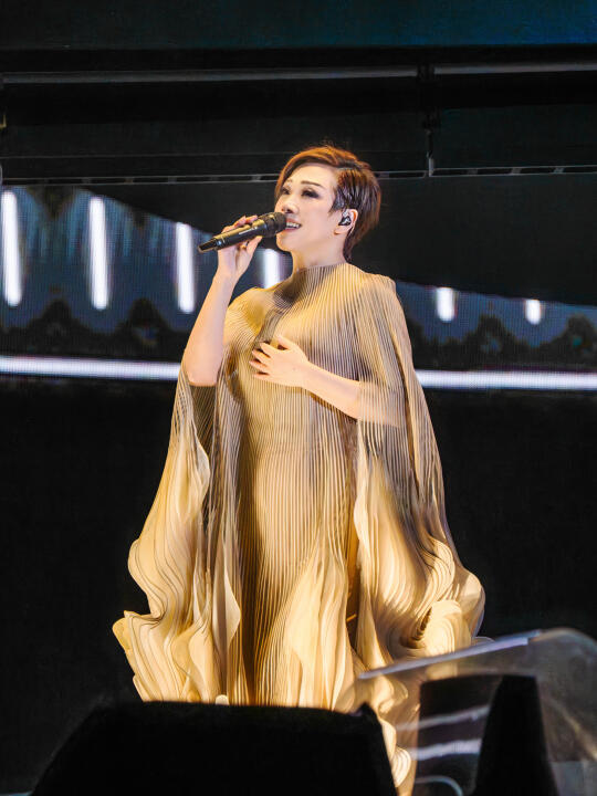 今年南宁第一场演唱会来自华语天后林忆莲