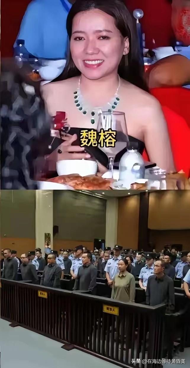 缅北“女魔头”魏榕的“好日子”要到头了

  

不是因为弟弟魏清涛被抓，也不是