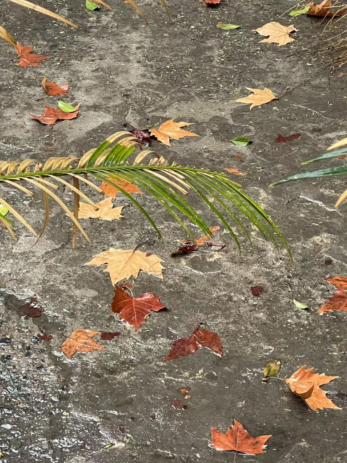 我的今日状态：😁轻松愉快
我这里的天气：☀️晴天