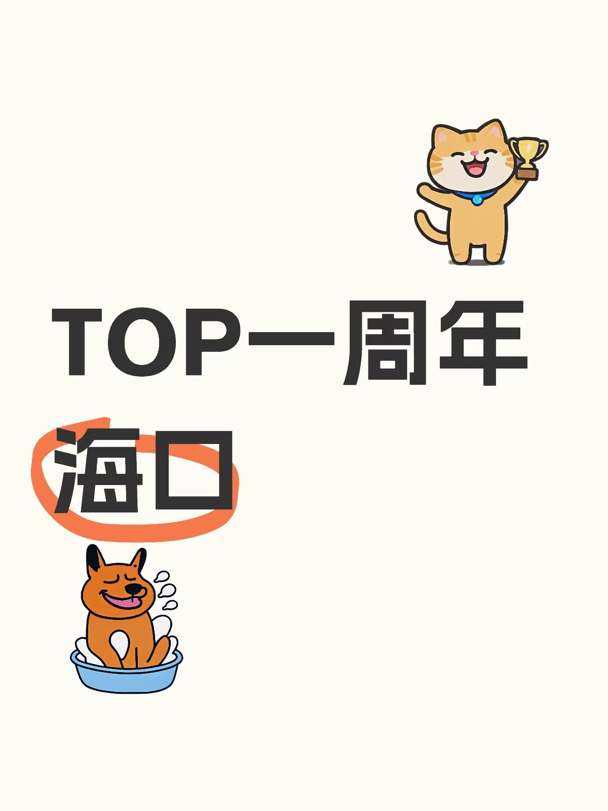 登陆少年 海口 一周年的风又吹回海口了 ​​​