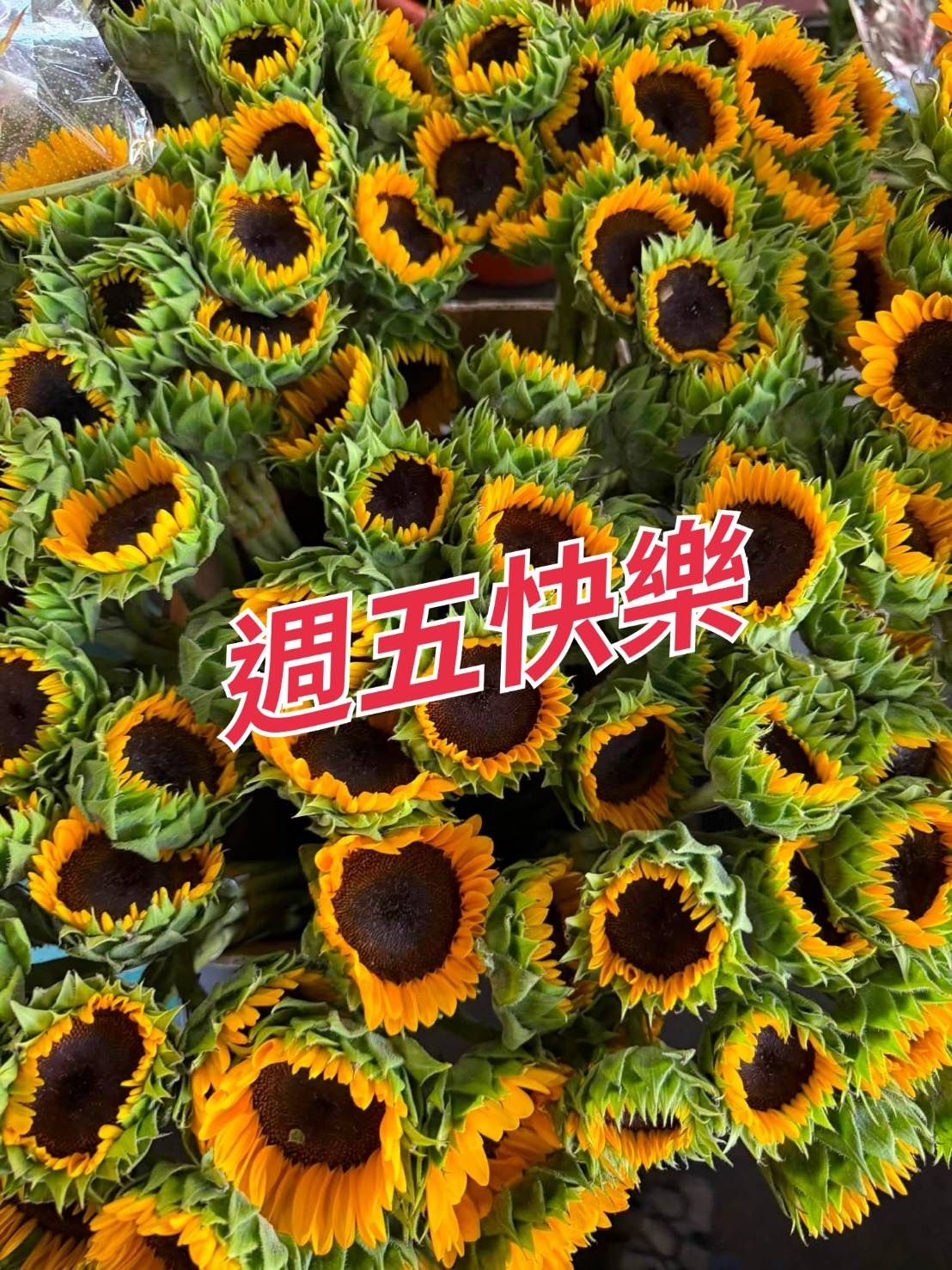 摩登兄弟  老大你看看刘宇宁