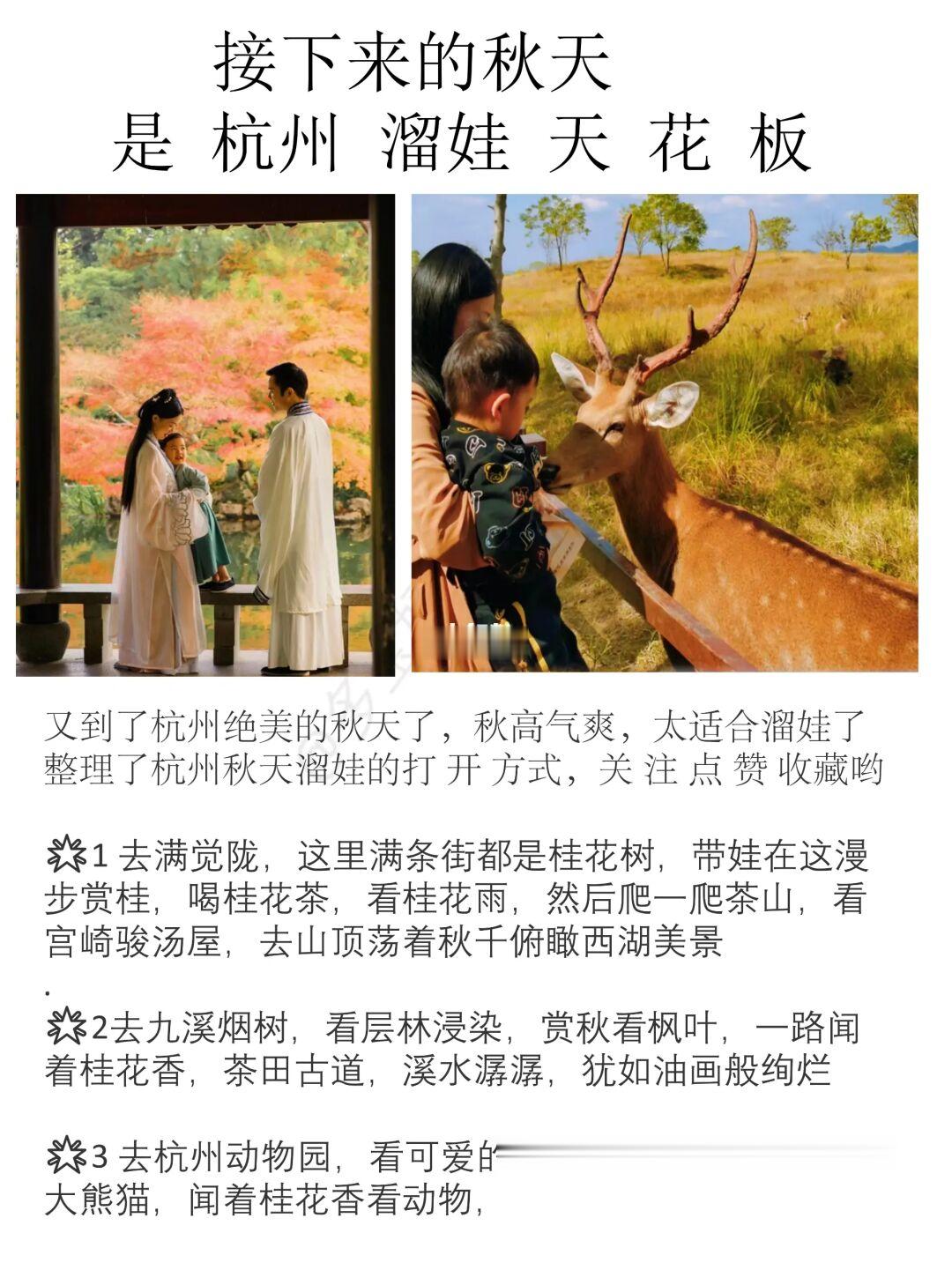 接下来的杭州‼️堪称国内秋天溜娃天 花 板