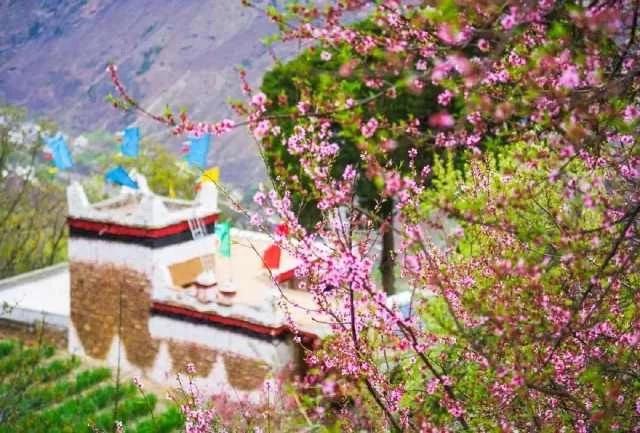 春天里的中国：一场希望与活力的盛大交响
当料峭的寒风悄然退场，第一缕春风轻吻大地