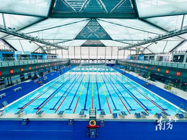 11.10-17深圳大运中心，41枚金牌待角逐！9:01预赛鸣枪，速度与激情即刻