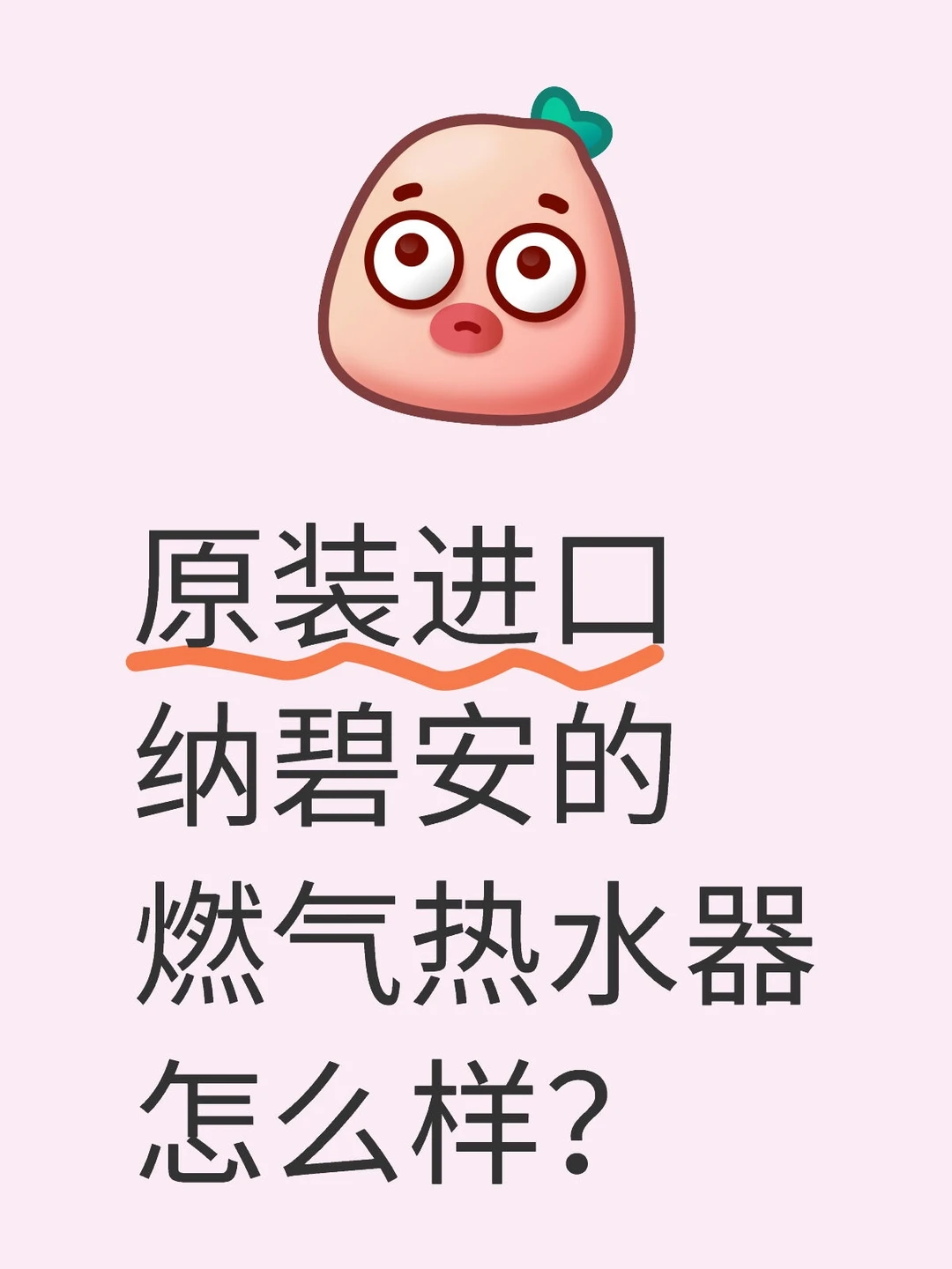 原装进口纳碧安燃气热水器
