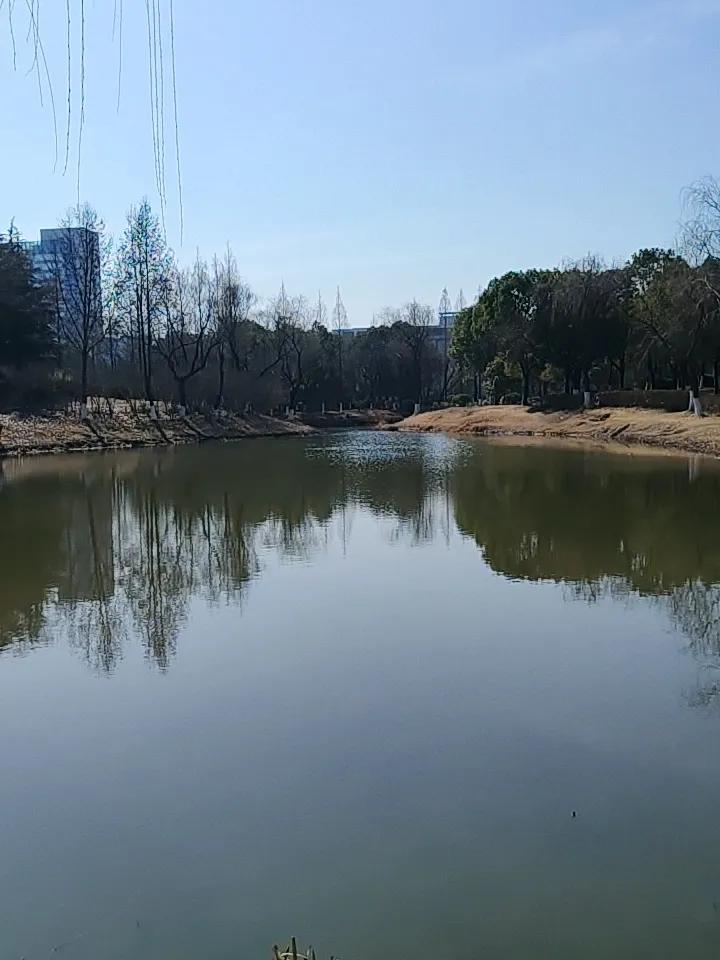 阳光明媚，带娃来公园逛逛