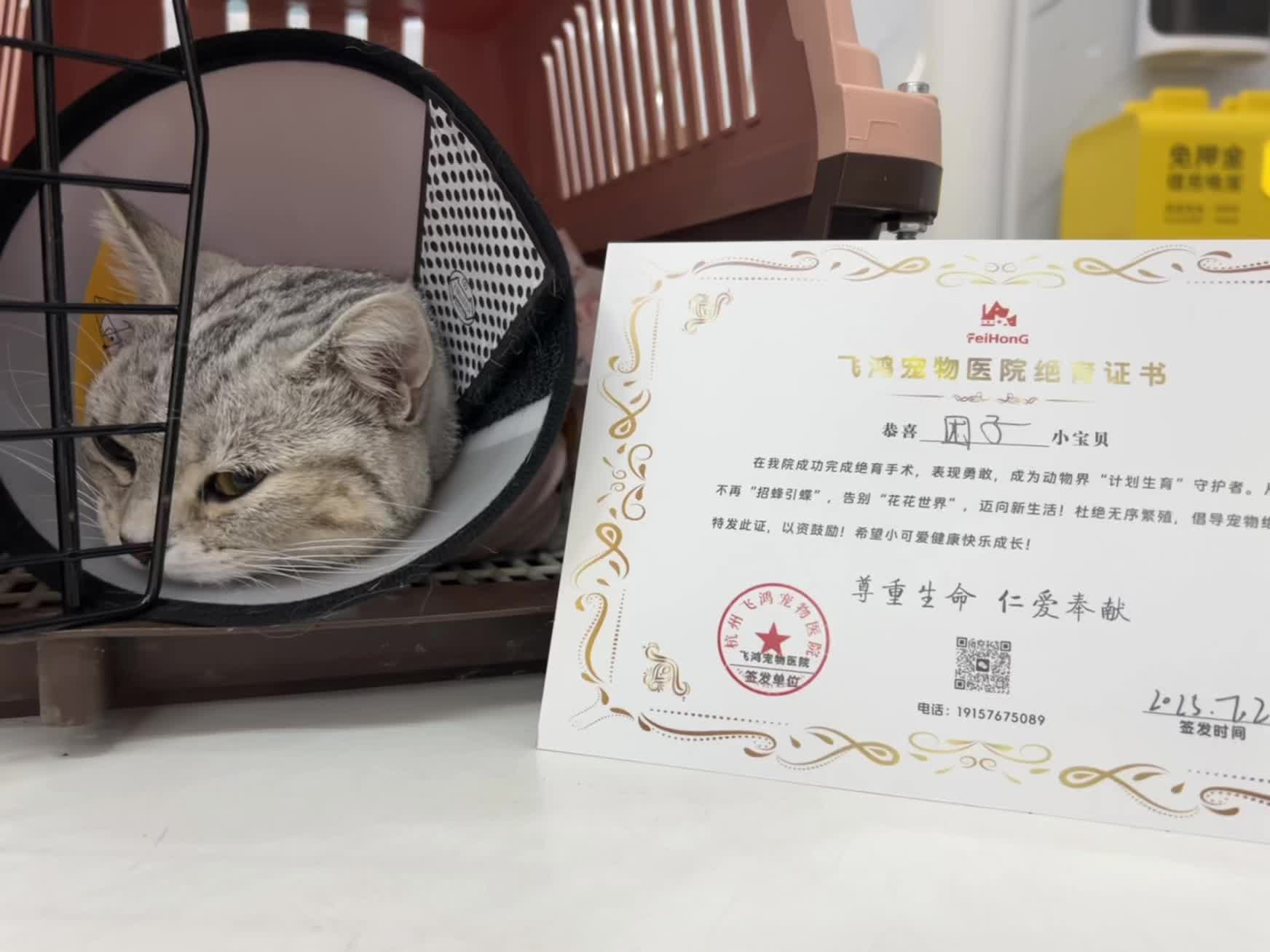 团子宝宝完成人生大事！！！ 宝宝真棒