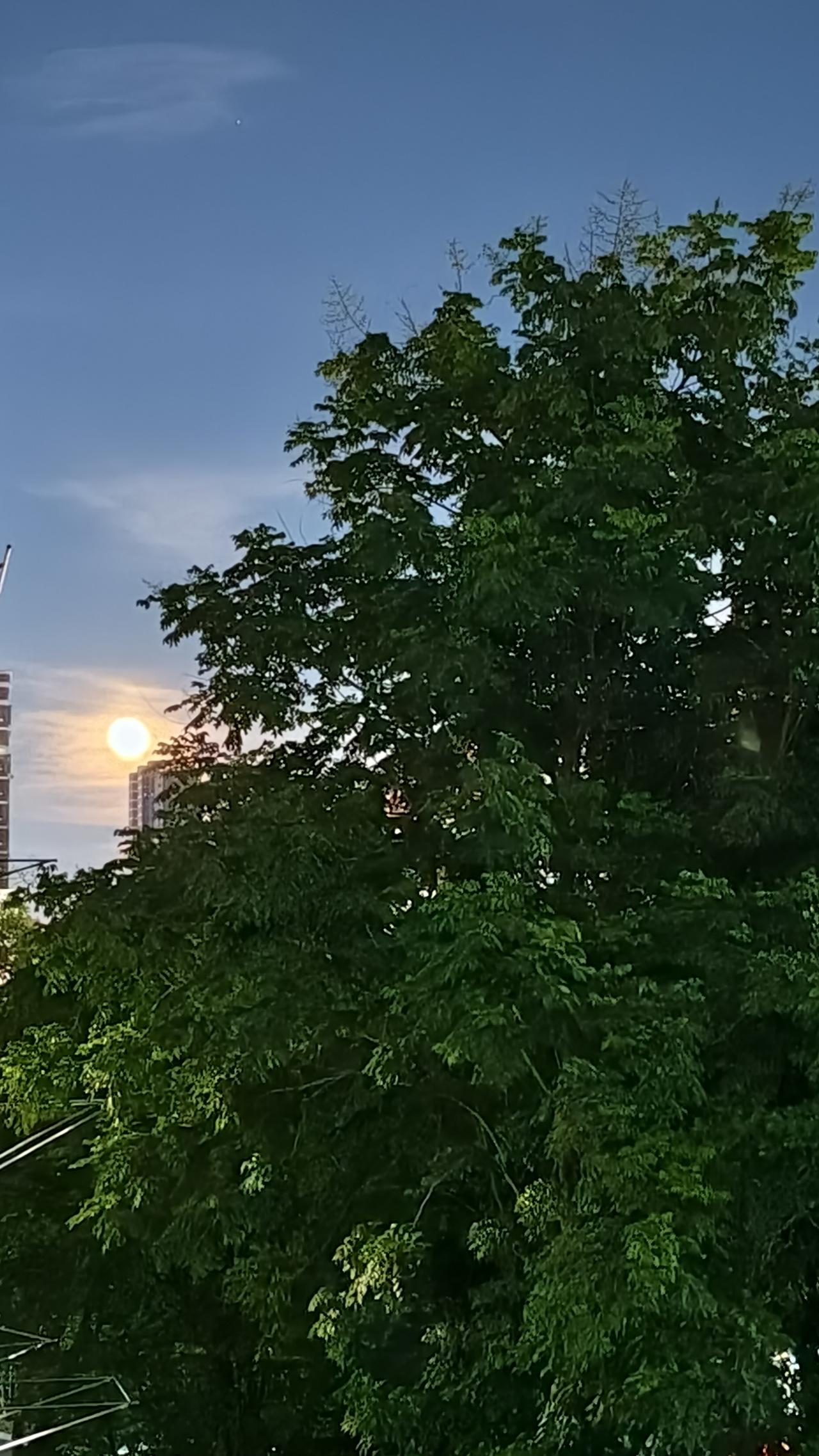有人知道，今晚的月亮为何会这么亮眼吗？