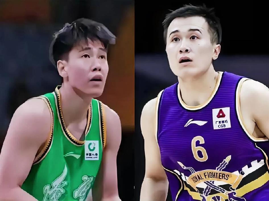 兄弟们！刷视频看到有网友说辽宁队休赛期要拿李虎翼换北控队的张帆？
说实话！看到这