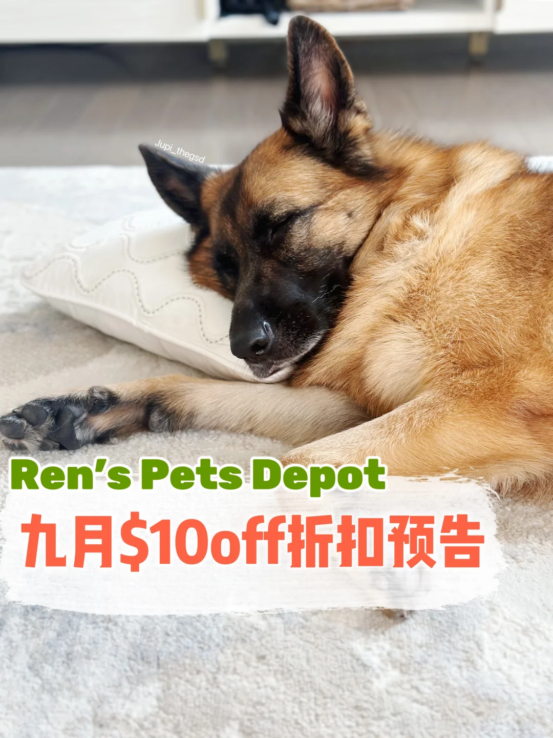 Ren’s Pet Depot 九月折扣预告🎃