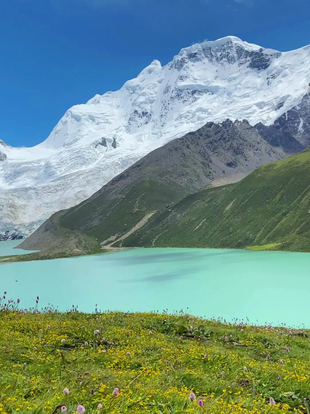 仿佛来到了宫崎骏的梦里👀😭
