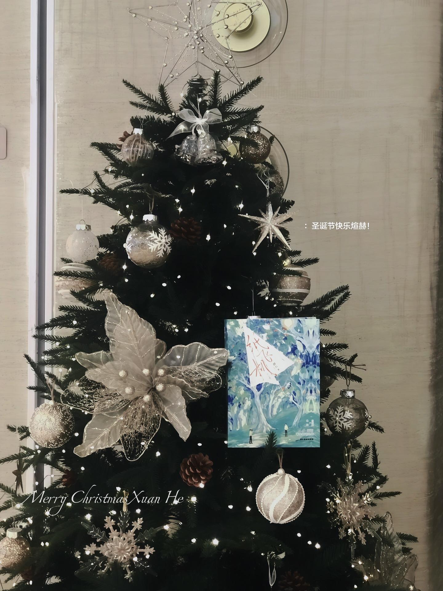 大雪，我觉得最适合煊赫过。