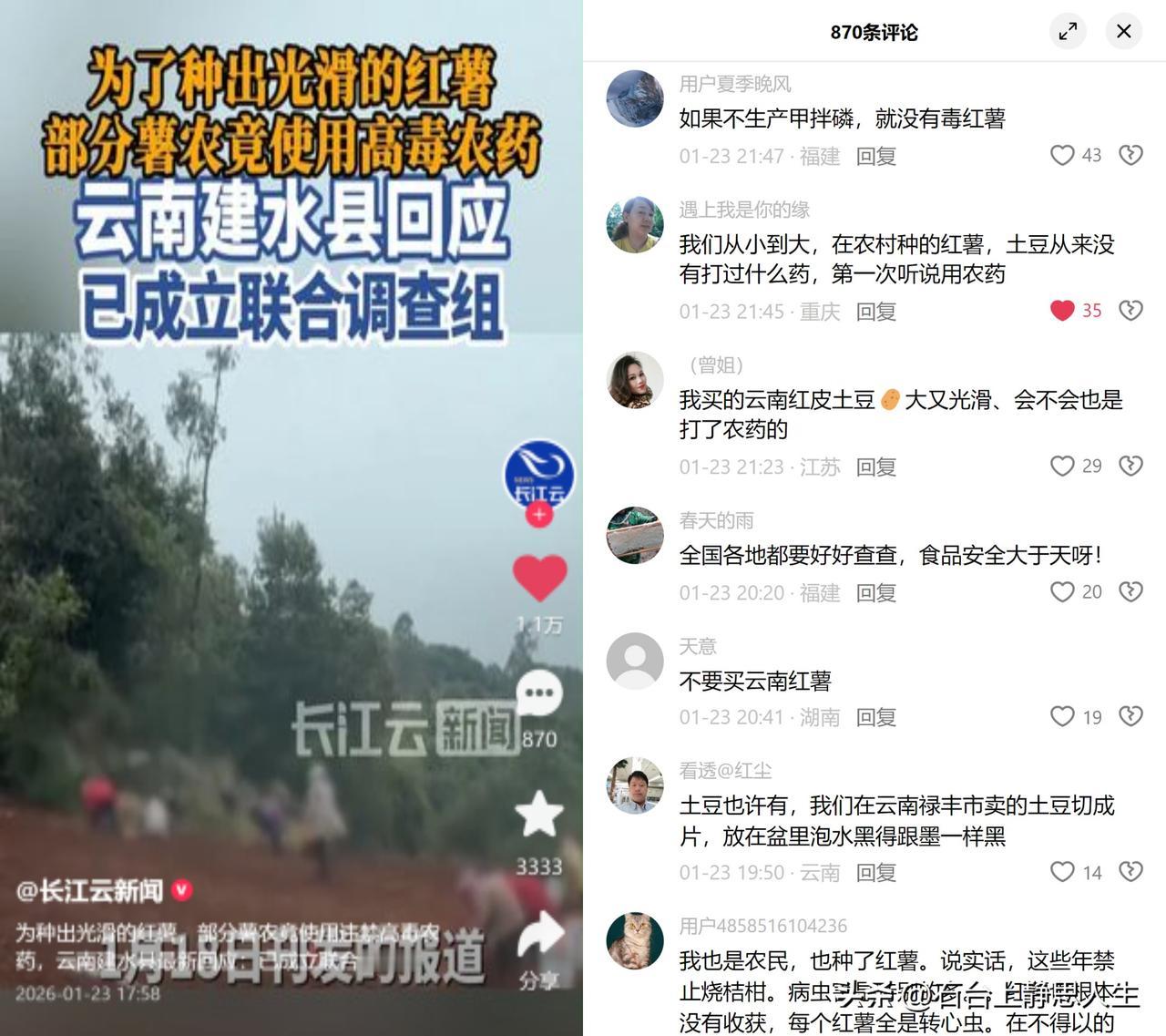 云南有些薯农为让红薯表皮光溜溜的，偷偷用了早被禁的高毒农药甲拌磷。

这事闹