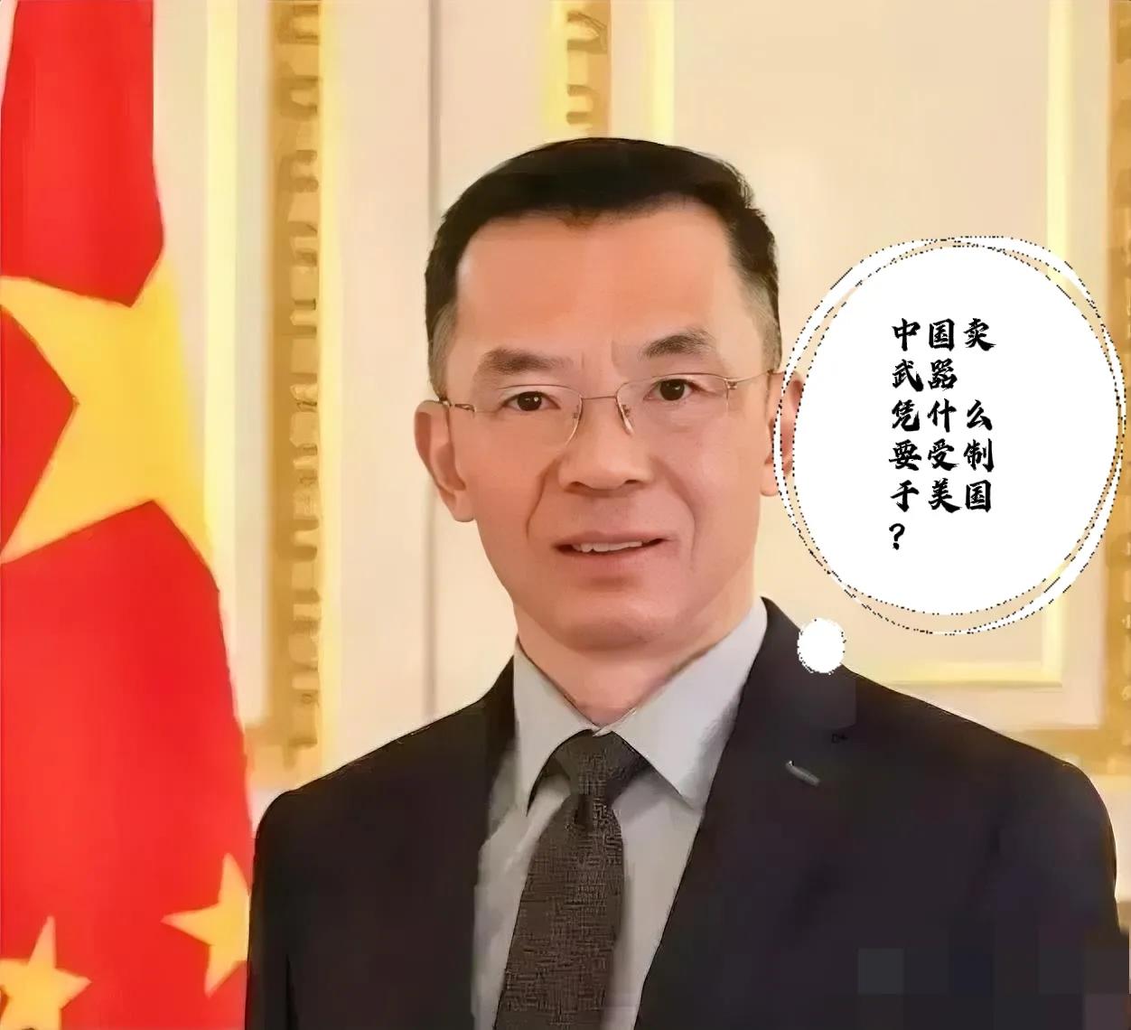 “美国可以把武器卖给任何国家，凭什么中国不行？”卢沙野大使又说霸气言论。
最近，