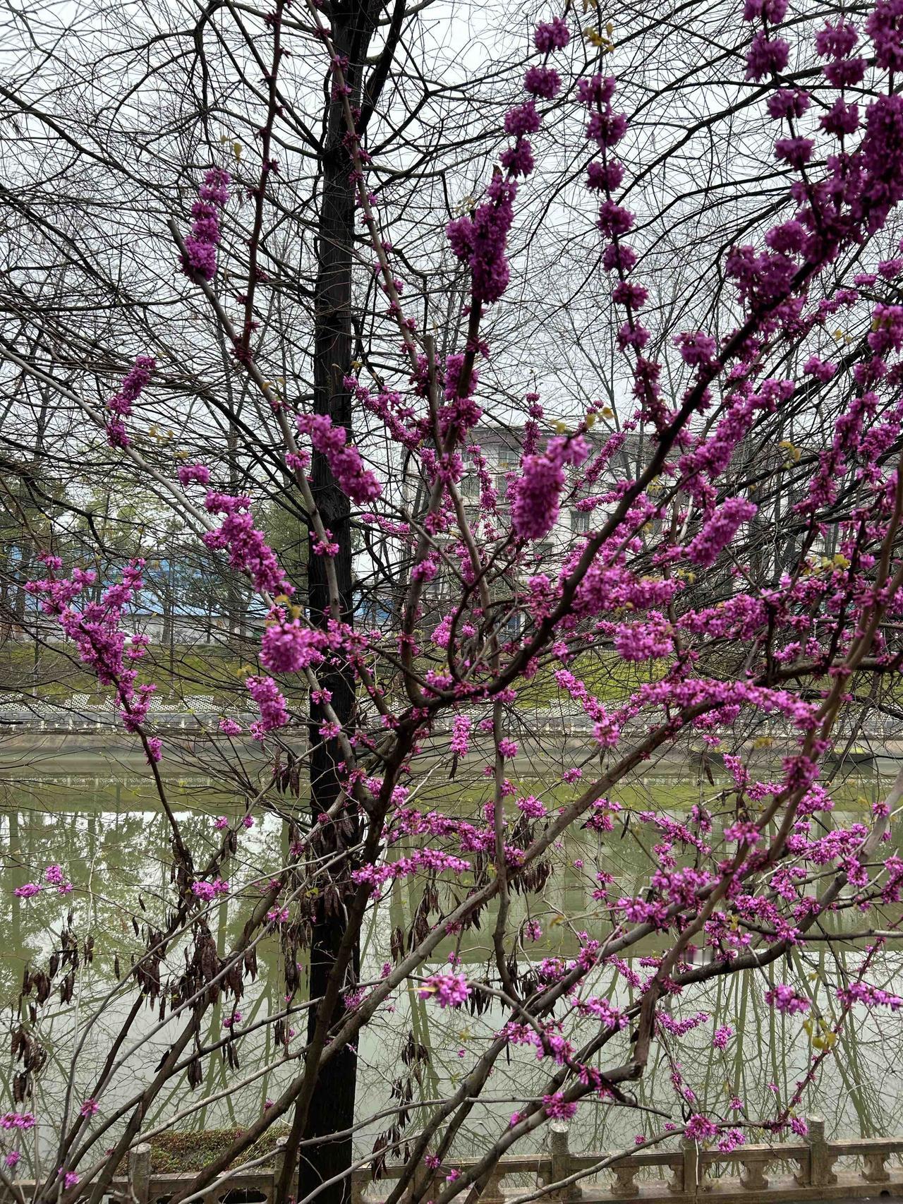 我觉得下联“锅碗瓢盆度春秋”就特别合适。锅碗瓢盆和油盐酱醋对应得很妙，都是生活中