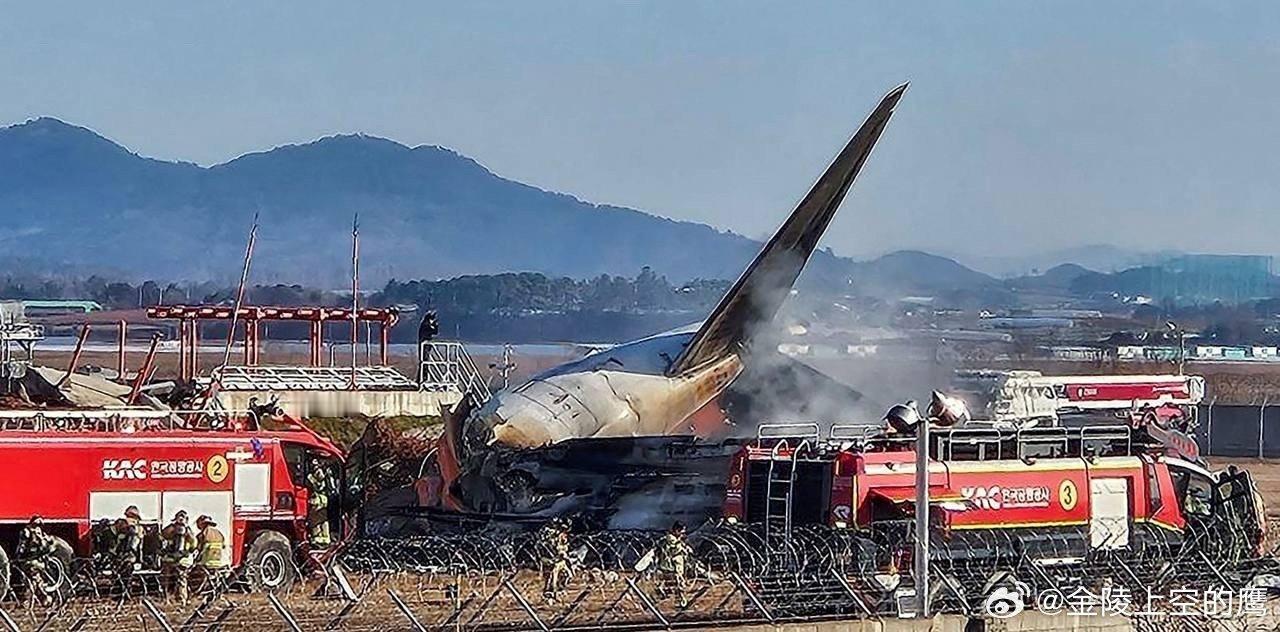 韩国空难飞机发动机吸入花脸鸭  责任全在