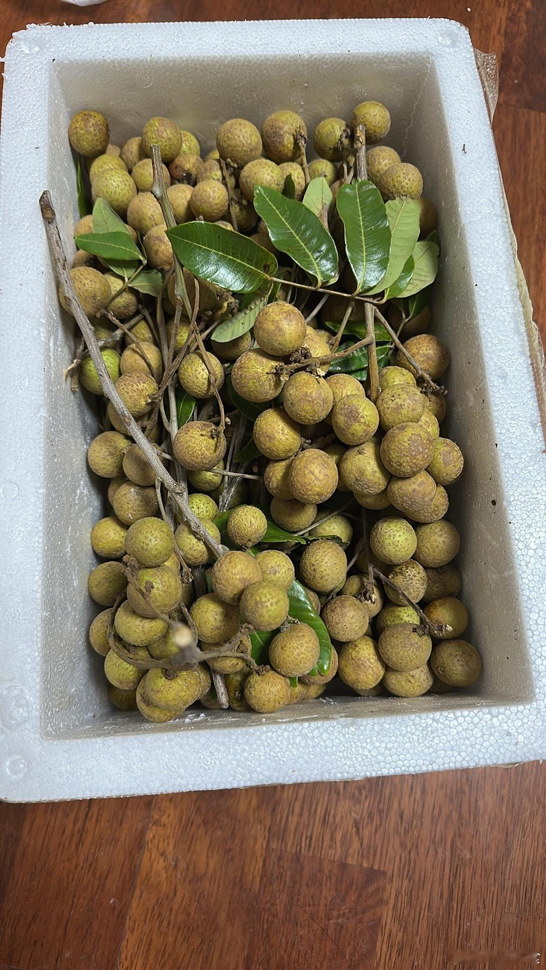龙眼是升级了泡沫箱和冰袋发货，这个实拍图看着还挺新鲜的吧？今天收到的真实顾客反馈