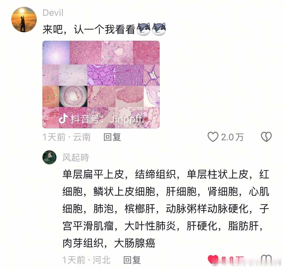 0503仙人之兮列如麻 离人已经很远了 ​​​