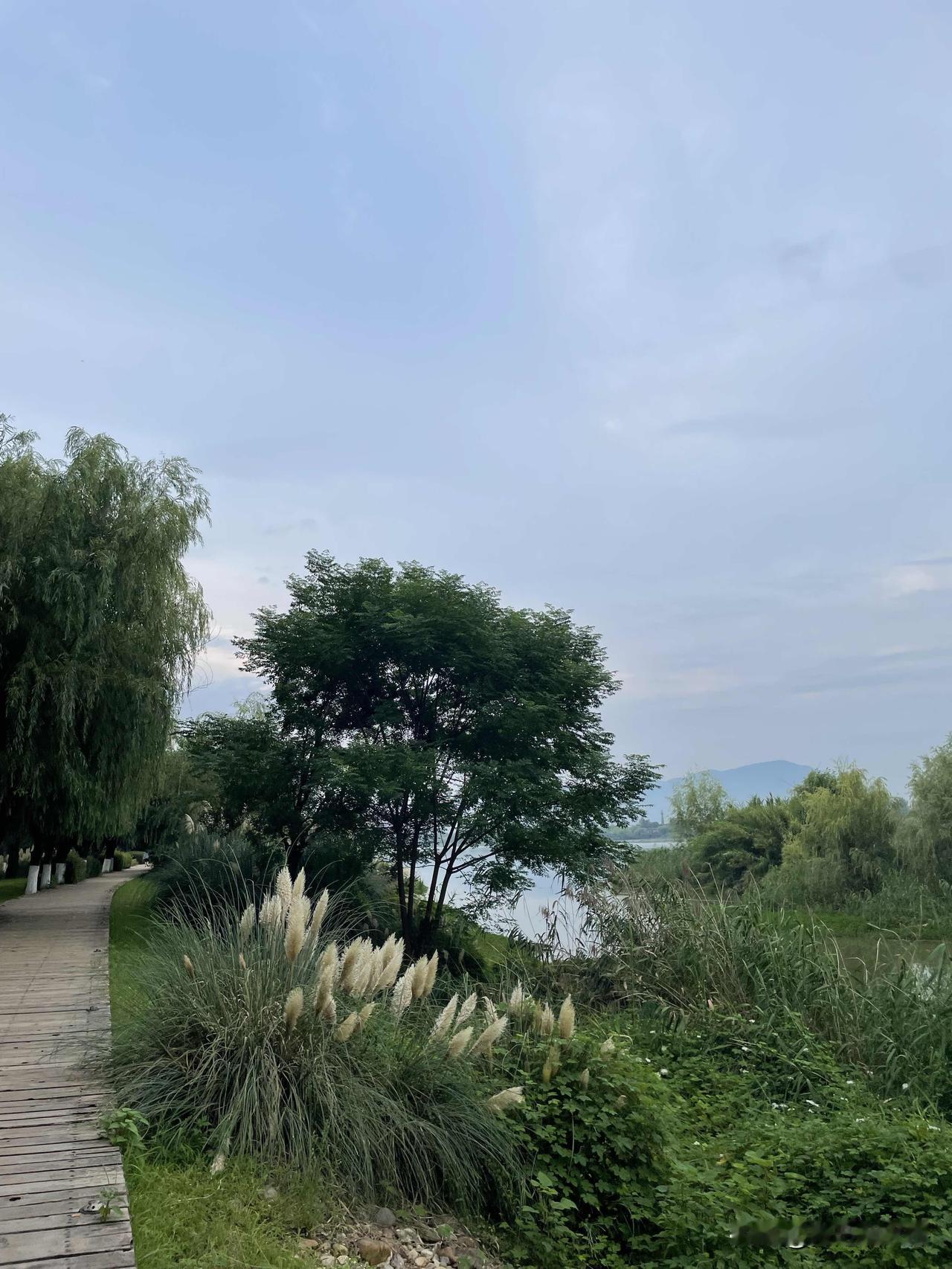 汉江边的田园里，风景总是这边独好！