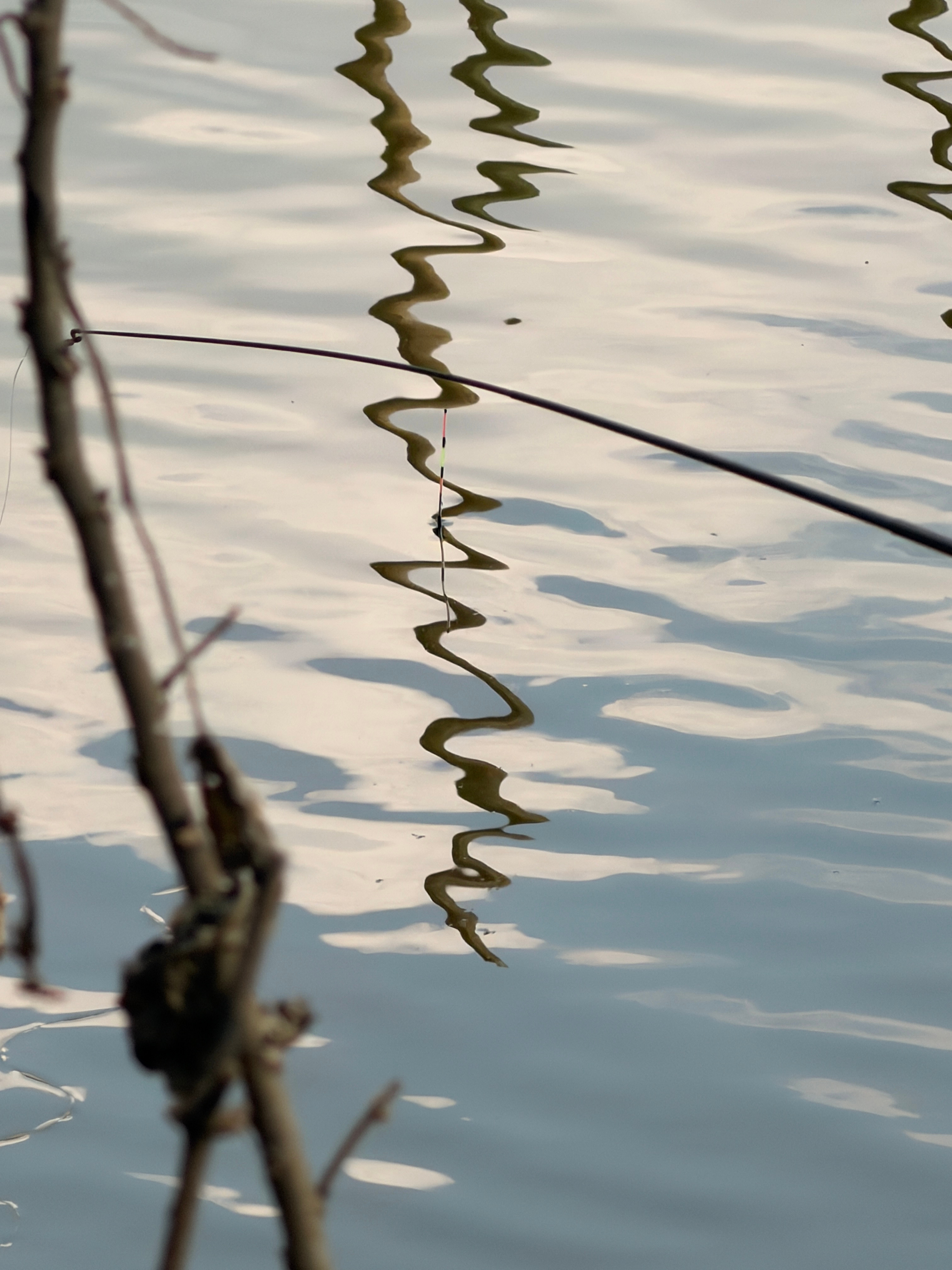 大家帮我盯一下鱼有没有上钩，我先去眯一会儿。有鱼吃钩了记得叫我。