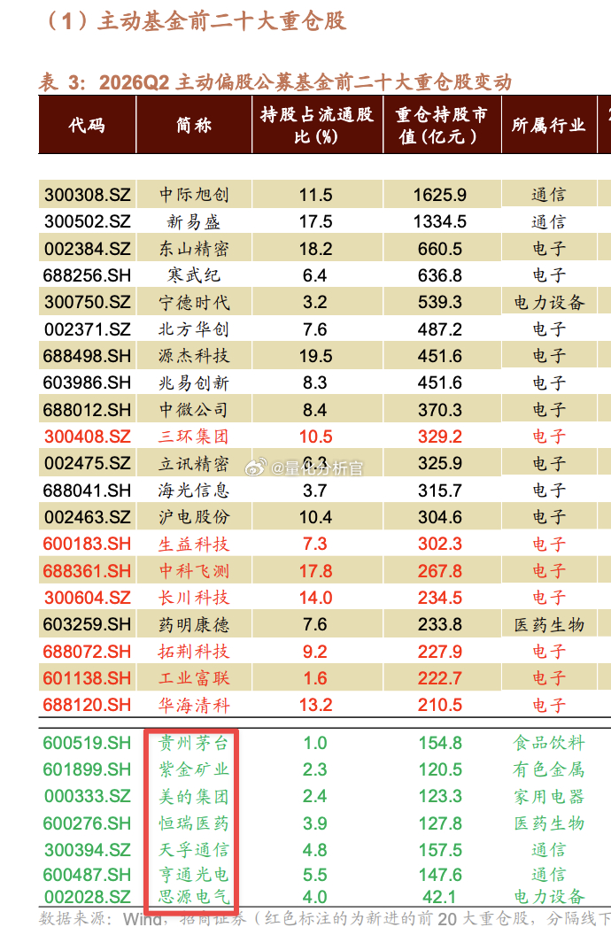 偏主动性的基金里面（不考虑被动指数基金），这帮基金经理的前20大持仓里面几乎全是