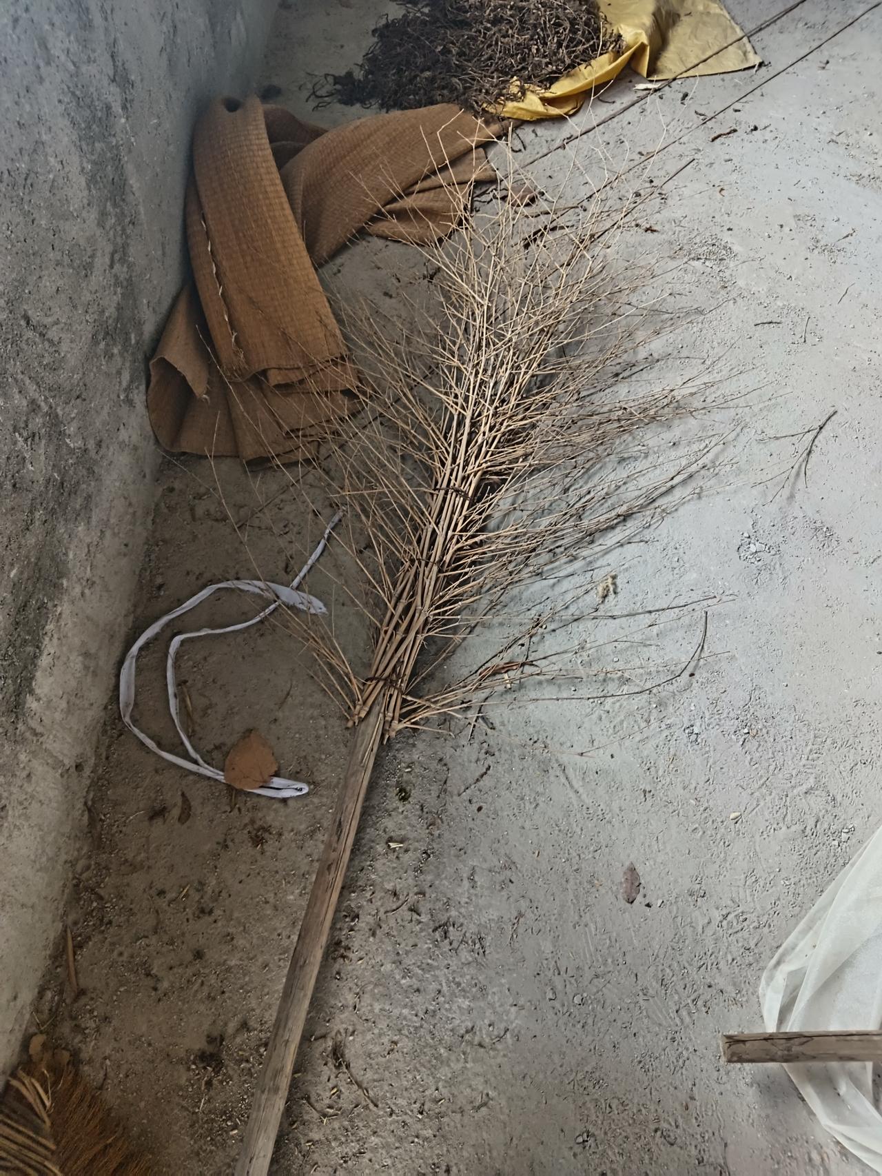 抓蜻蜓神器，懂得都懂！