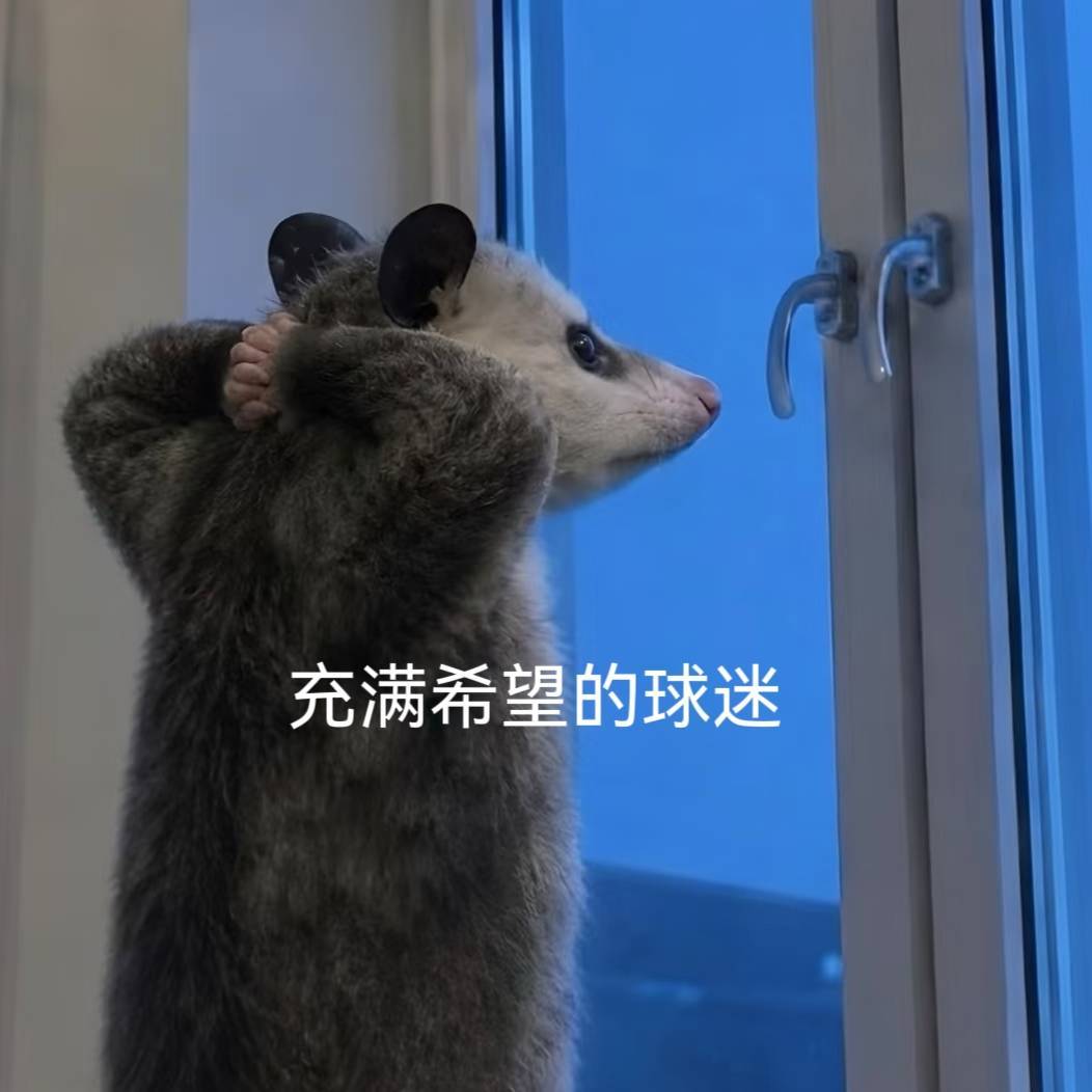 葡萄牙和克罗地亚两边中场都是老油条扎堆，动作绝对不小。我关注的不是谁攻谁守，是这