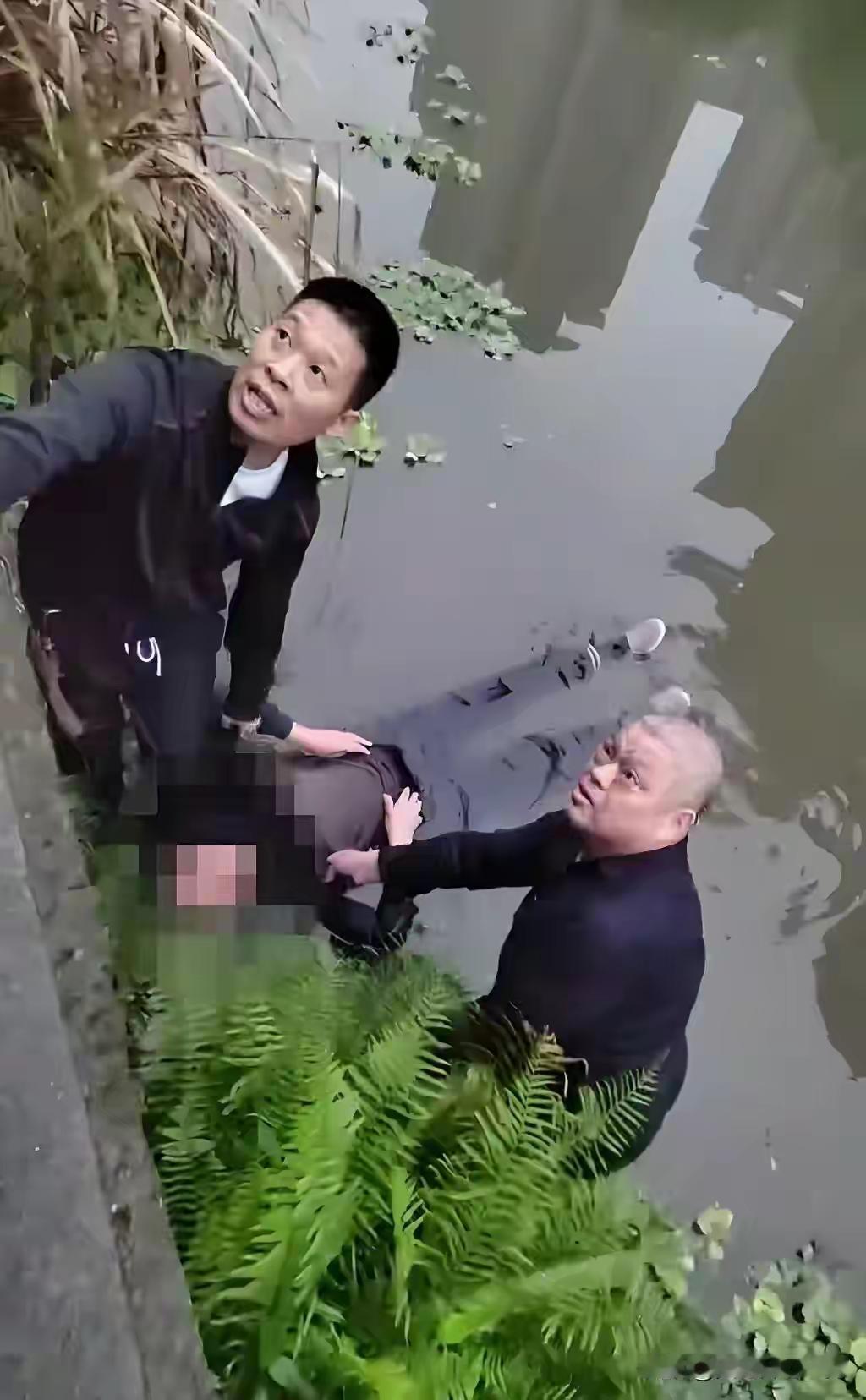 看着河里扑腾的专家，

小伙没伸手。

他怕的不是水，是专家嘴里那些证。

救人