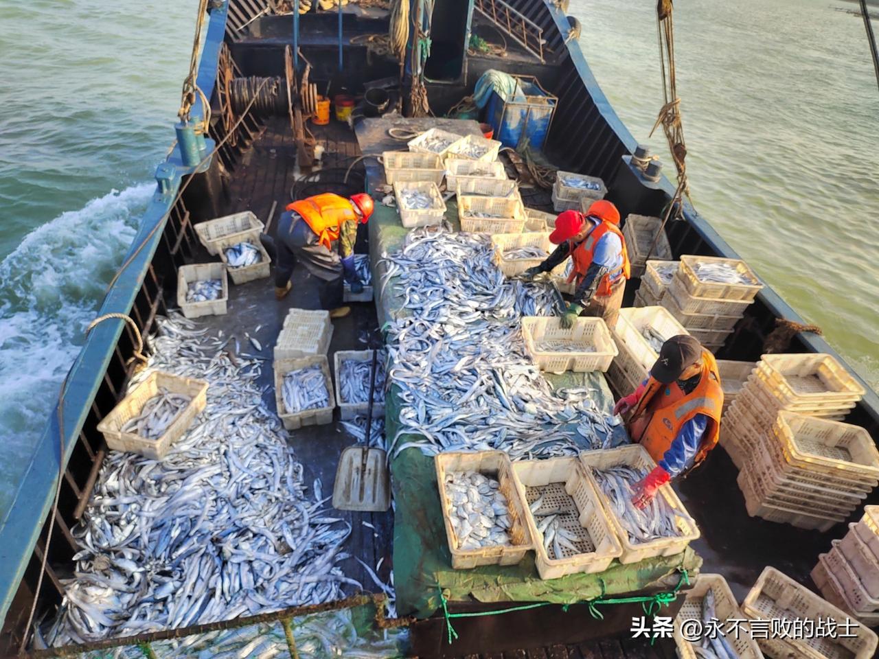 吃鱼的要小心了！

近日，央视财经频道《财经调查》栏目曝光在重庆、山东临沂、安徽