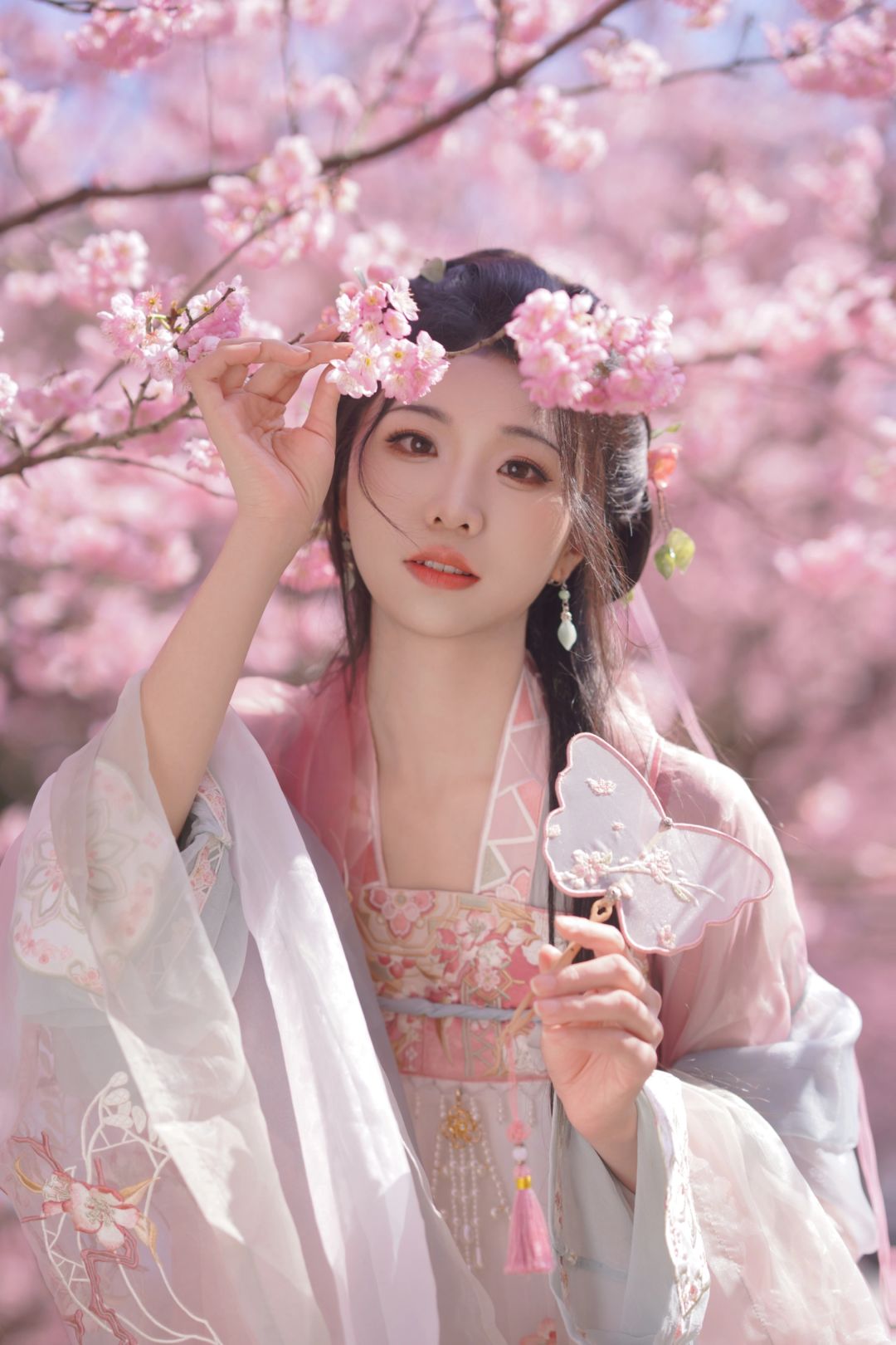 樱花客片～|重庆汉服约拍