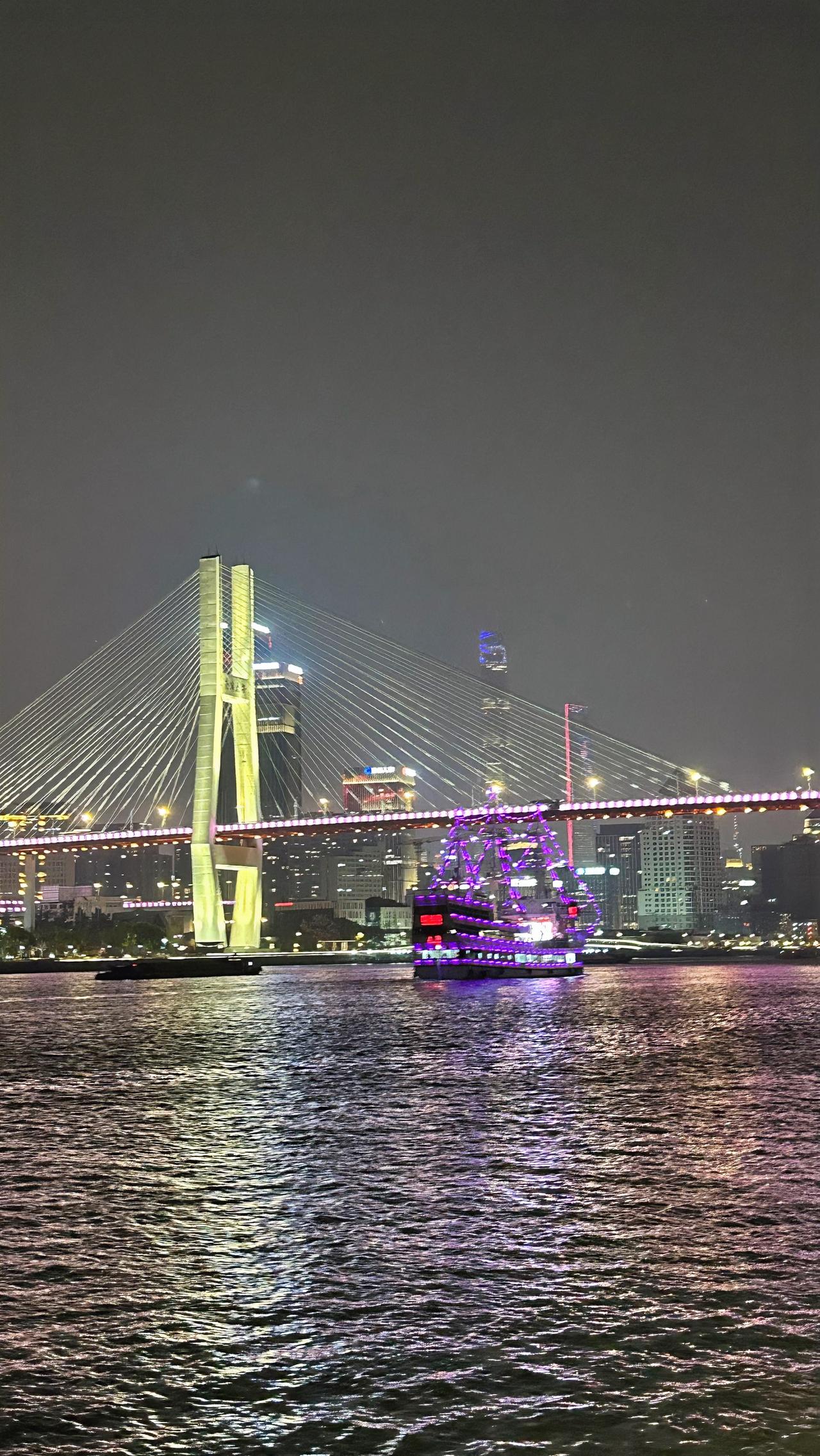 分享随手拍下的风景照夜晚的南浦大桥江畔，清风徐来，灯光璀璨，波光粼粼，游轮缓缓驰