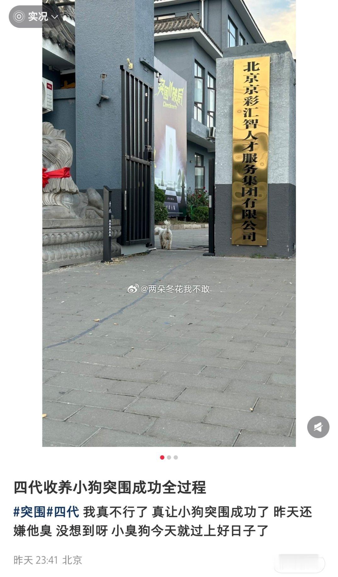 成功突围第一狗 